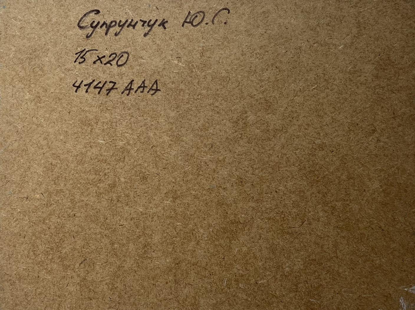 Back of Yuriy Suprunchuk oil painting Seagulls on the seashore with Cyrillic text