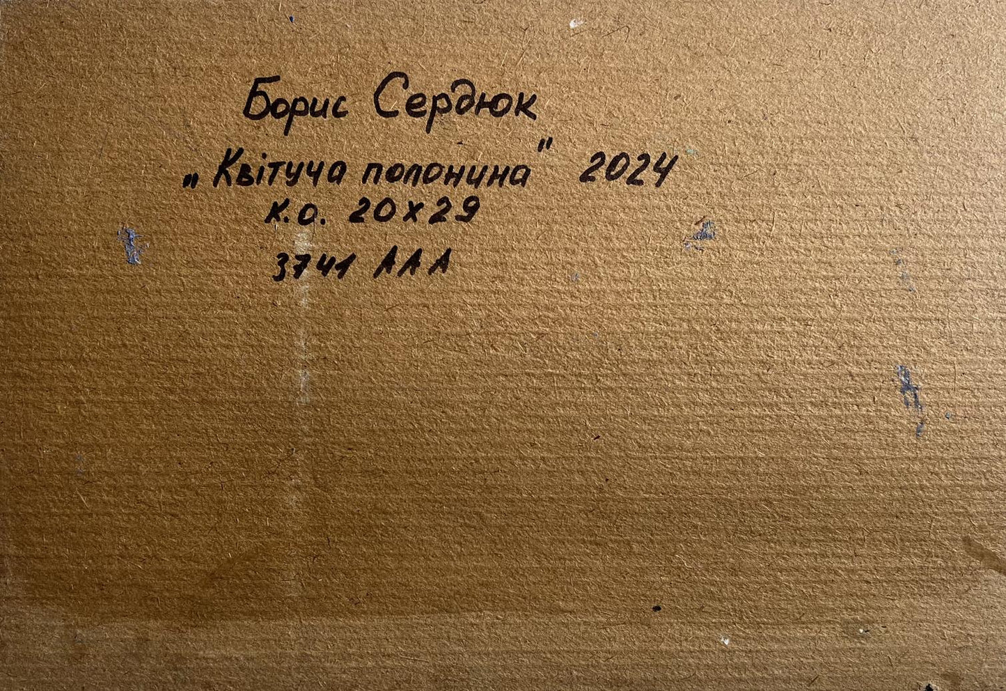 Back of 2024 Boris Serdyuk oil painting Kytuch Polonina on textured canvas