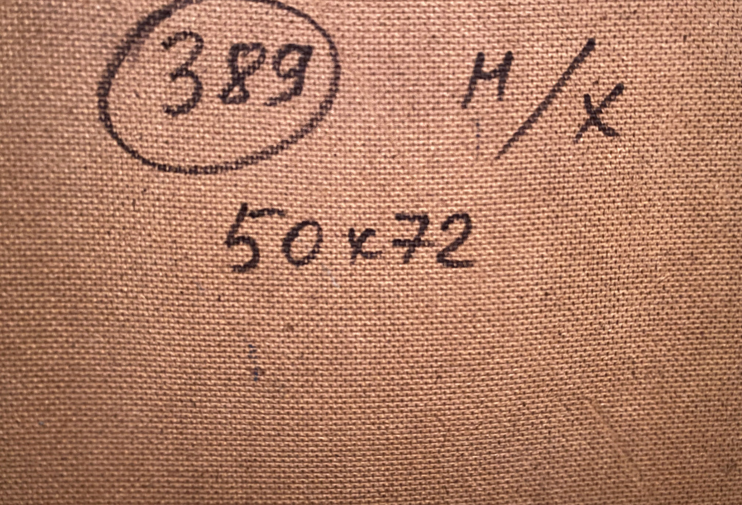 Back of oil painting overlay on summer day with brown fabric, circled 389, h/x, 50x72