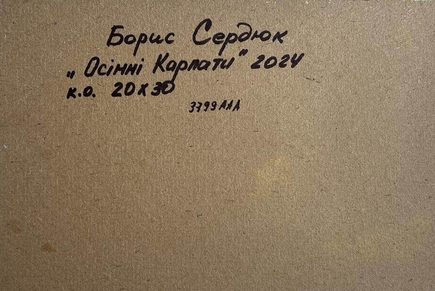 Back of oil painting Golden Mountain Fields by Boris Serdyuk, 2024 details
