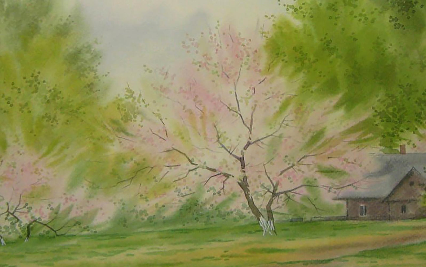Watercolor painting of blossoming pink cherry tree by Valery Savenets