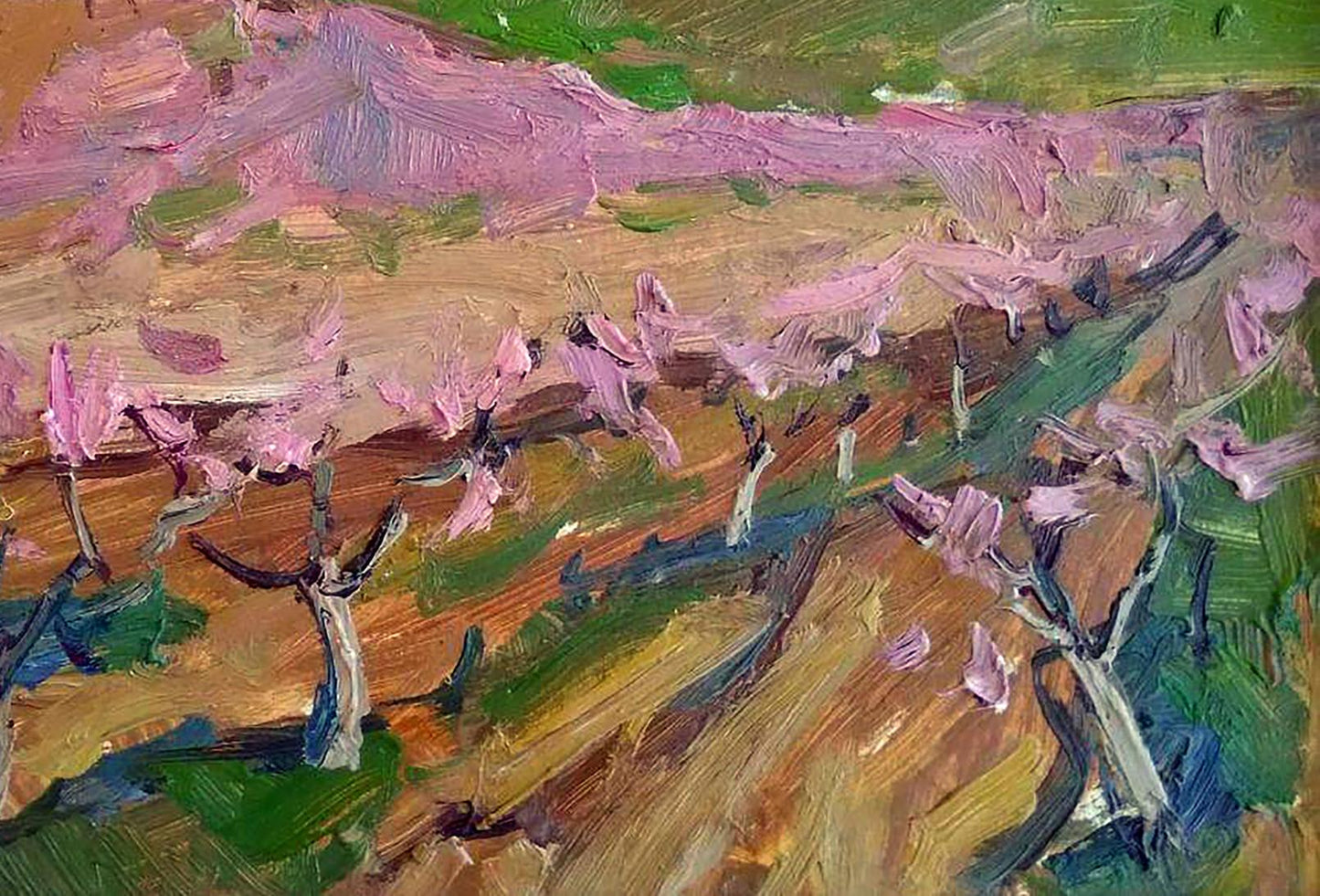 Oil painting Flowering garden by Oleksandr Andreev: pink trees in field