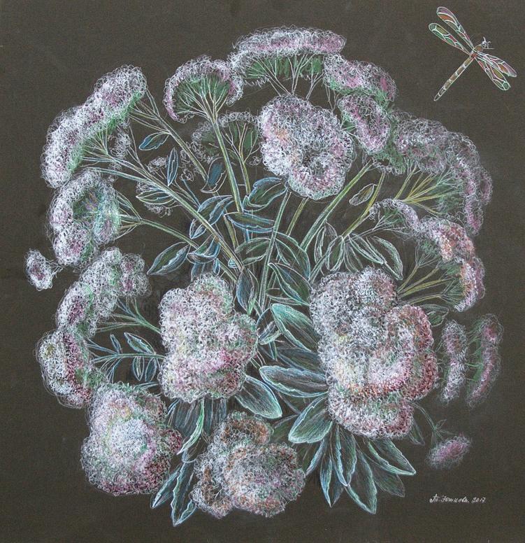 Delicate pastel chalk drawing of Stonecrop blooms by Yushkov Svatoslav