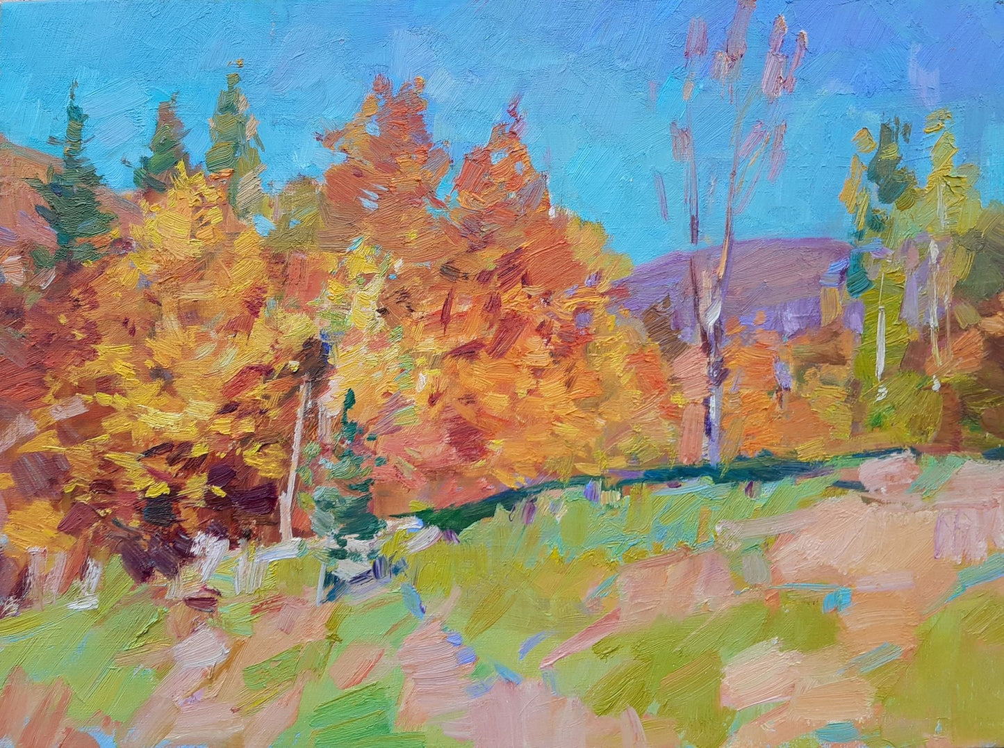 Oil painting Lawn Pereta Vyacheslav