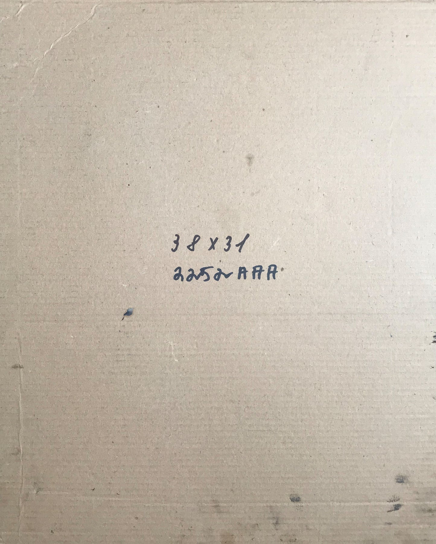 Back of beige box with handwritten blue ink measurements for Litvinov female portrait