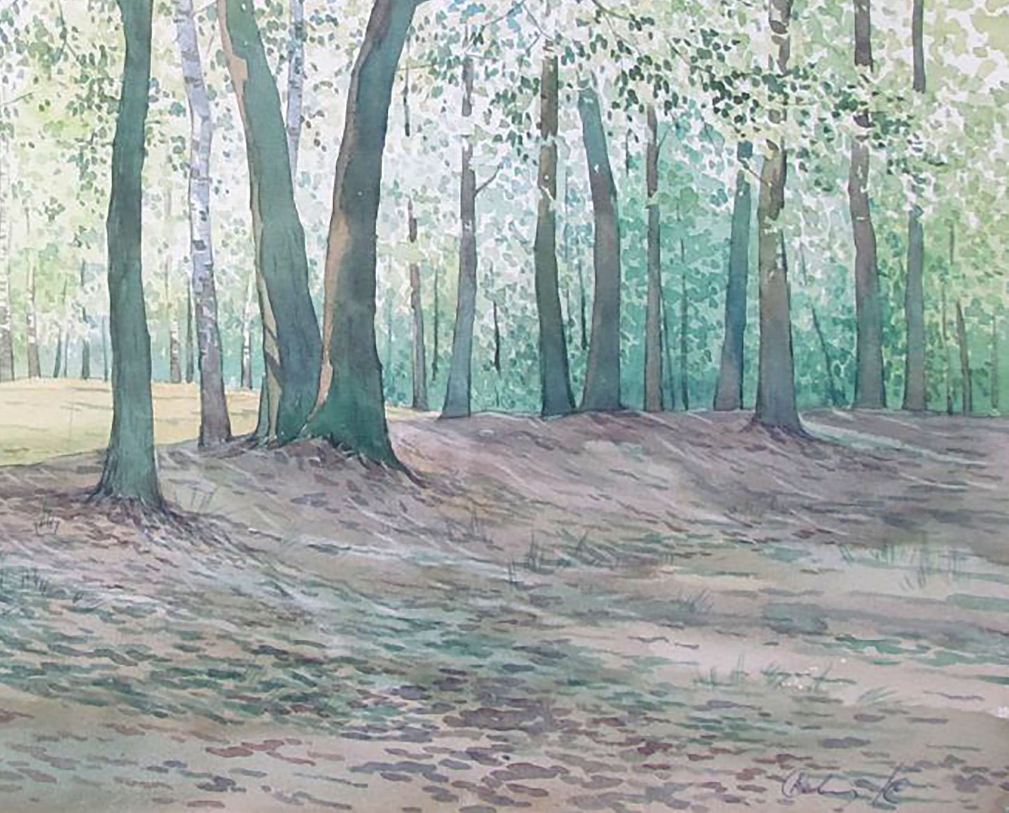 Forest landscape Buy painting