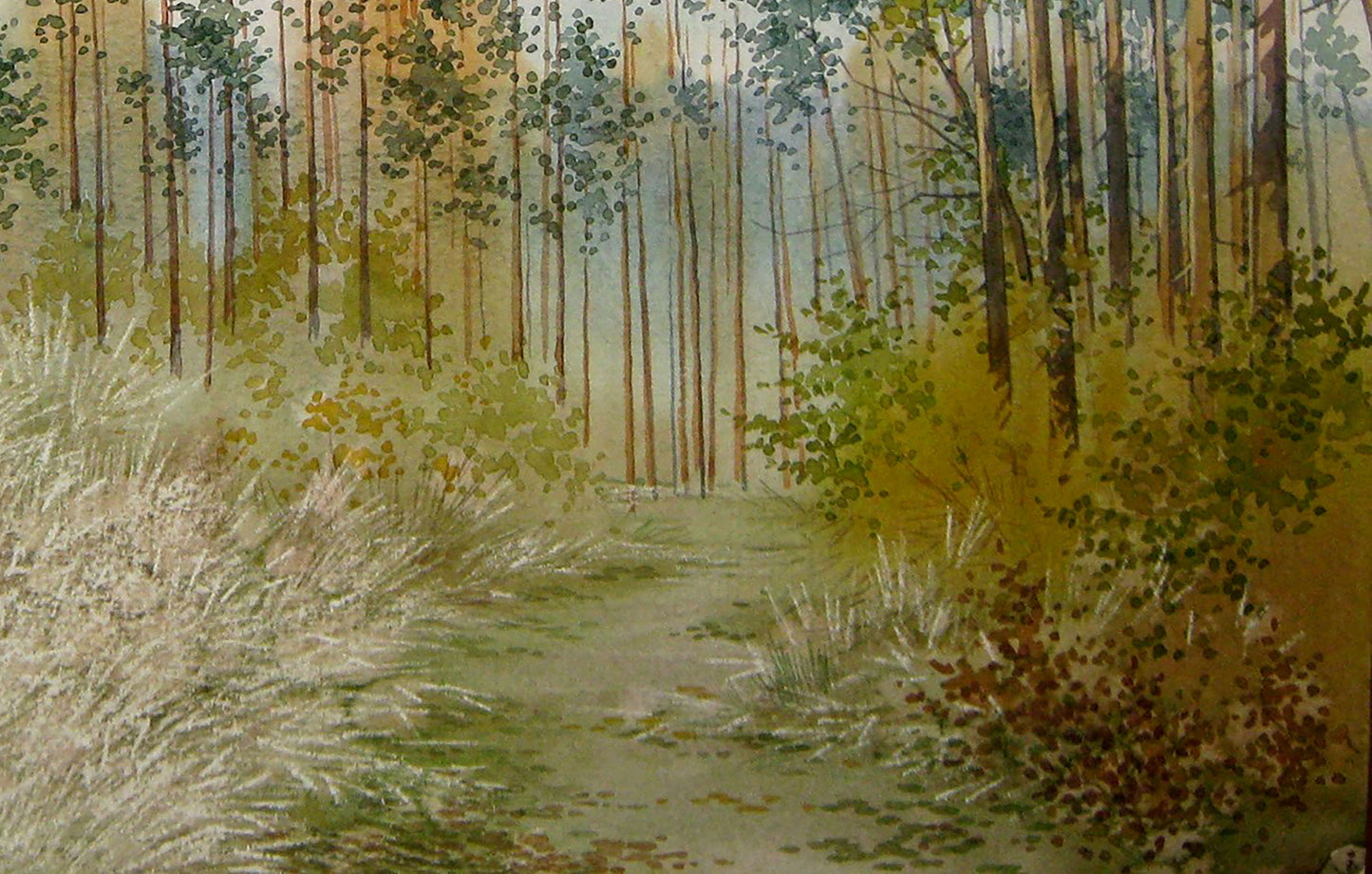 Buy Modern Painting