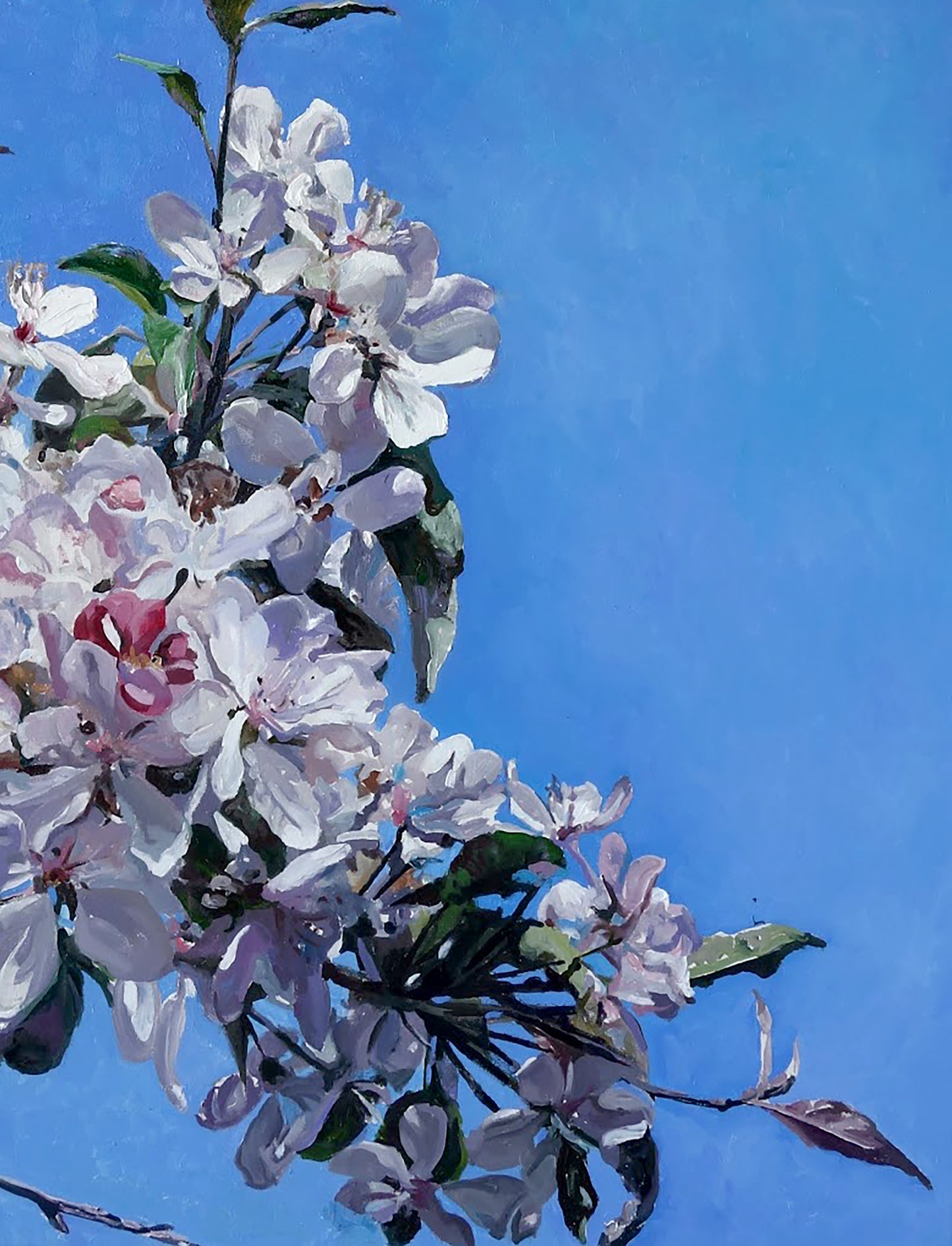 Artwork for Sale
