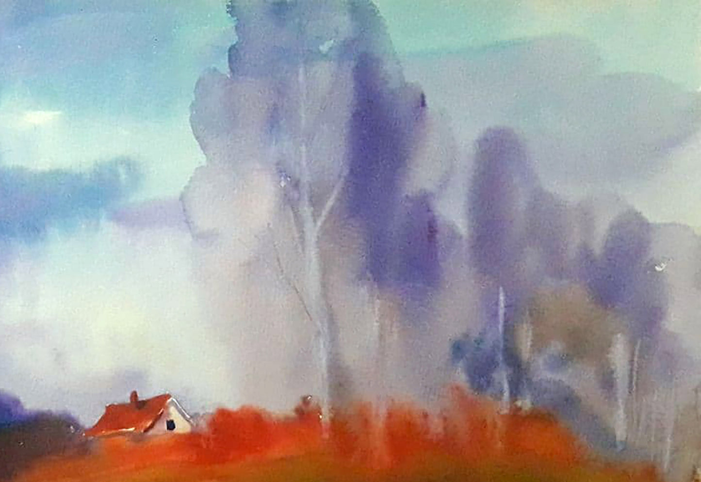 Forest landscape