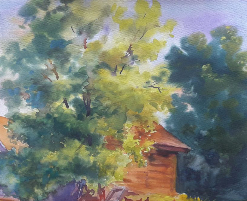 Evening Landscape