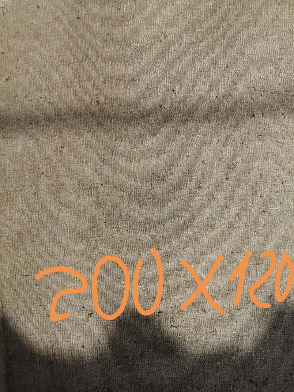 Beige linen textured weave with faint speckles for Lenin portrait painting