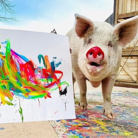 White pig with red nose beside vibrant paint-splattered canvas in pig art history