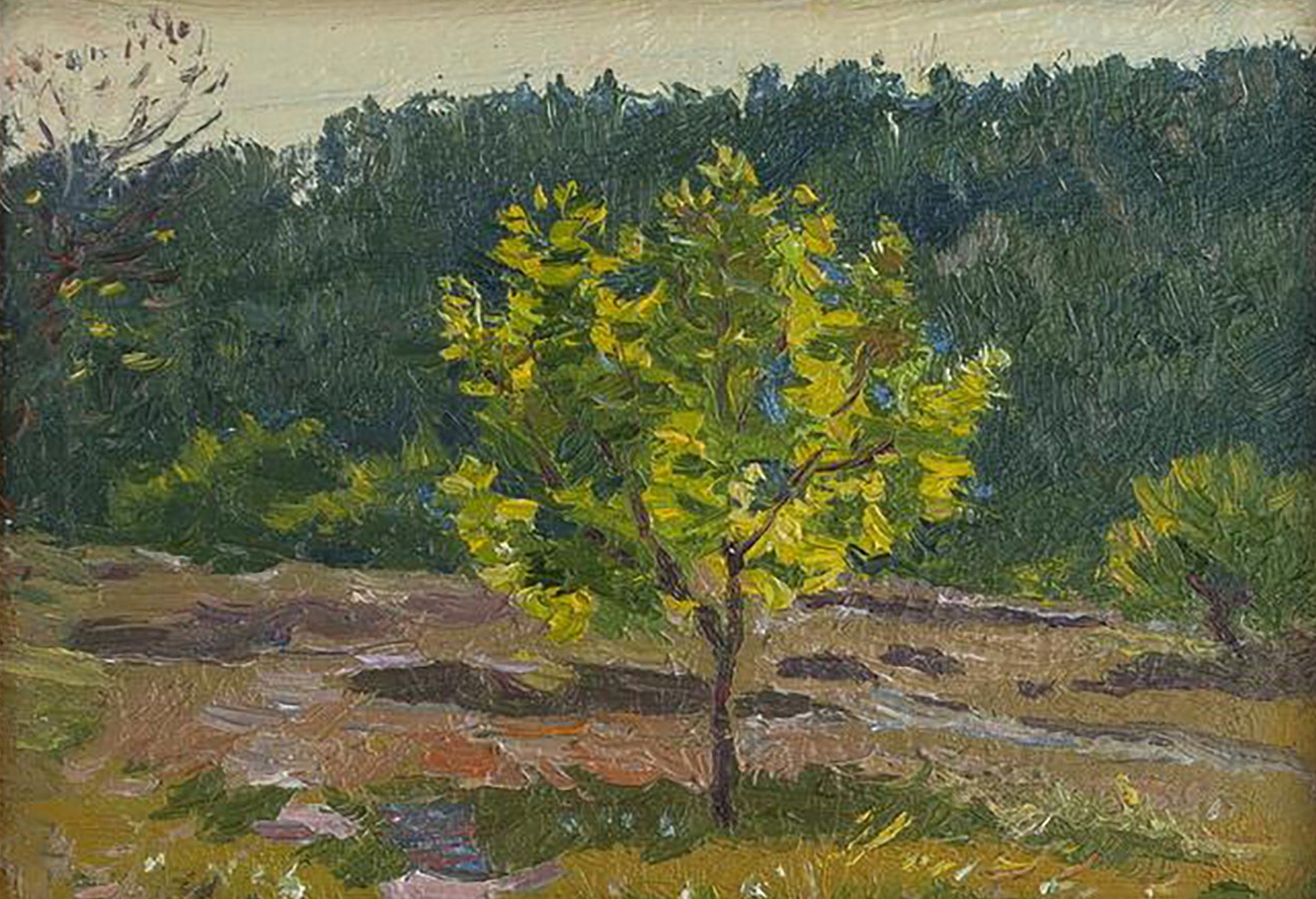 Oil painting Until the Evening by Yury Konovalov: vibrant yellow-green tree in sunlit field