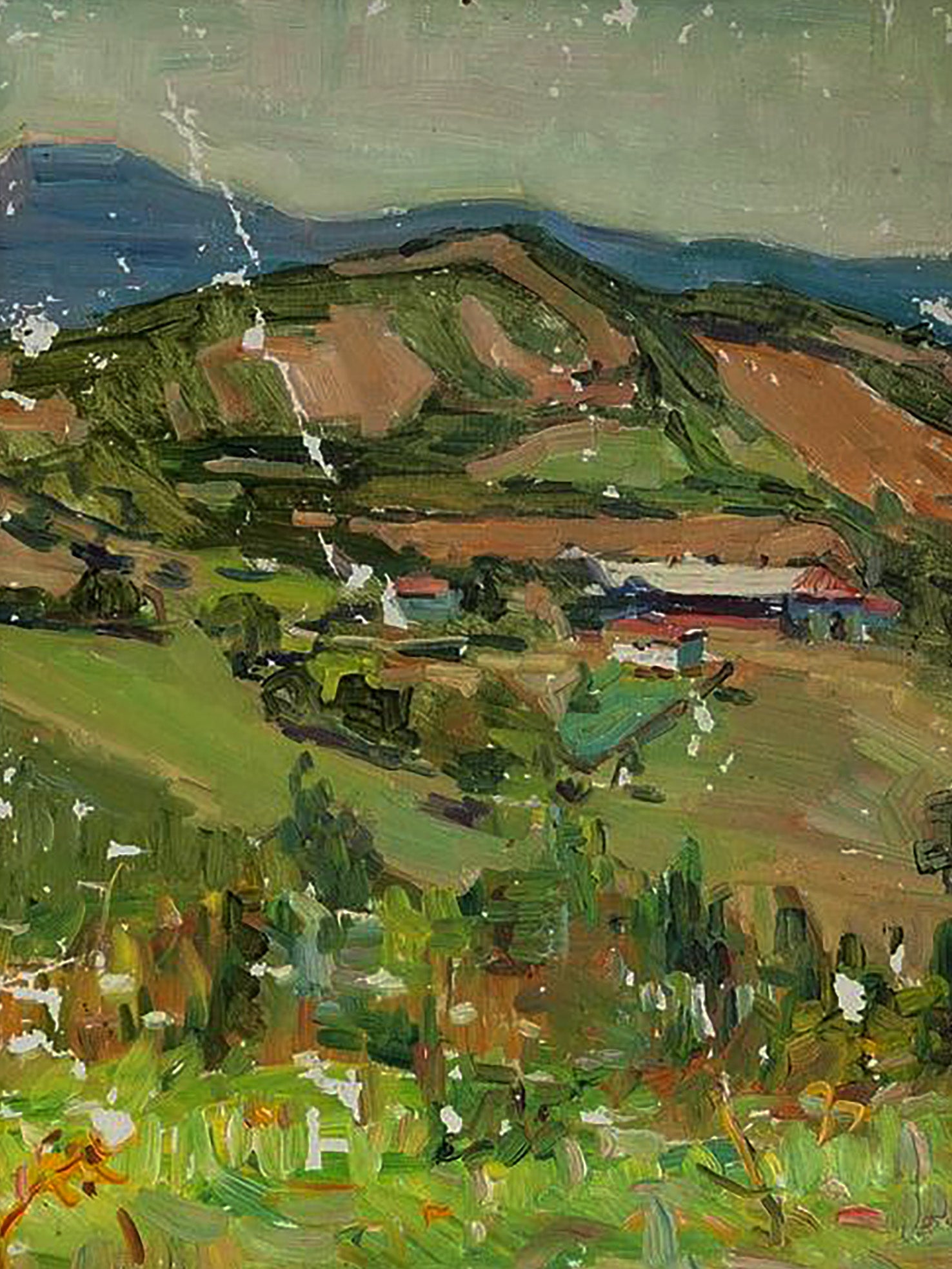 Vibrant impressionist oil painting Valley in Spring by Oleksandr Andreev