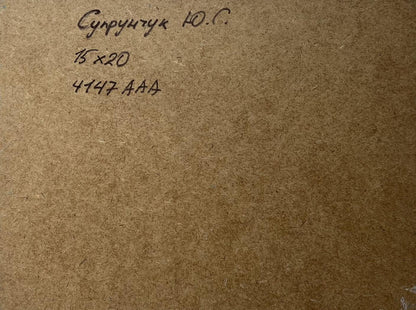 Back of Yuriy Suprunchuk oil painting Seagulls on the seashore with Cyrillic text