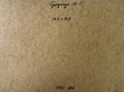 Back of Yuriy Suprunchuk oil painting Joyful walks through the field with brown cardboard handwritten Cyrillic text and measurements