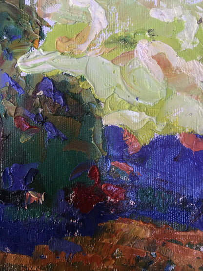 Nature Landscape 