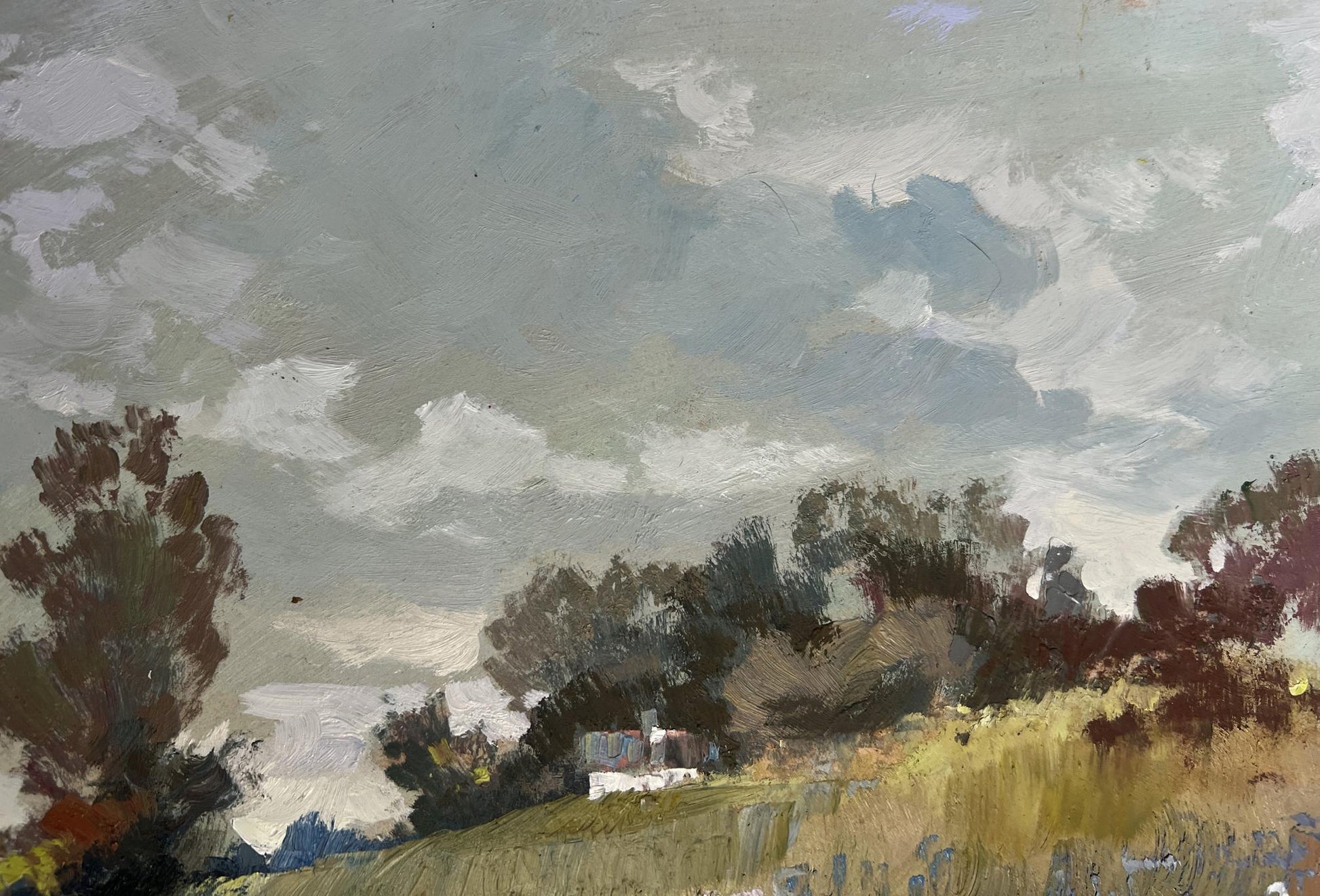 Oil painting of summer flower meadows by Yuriy Suprunchuk