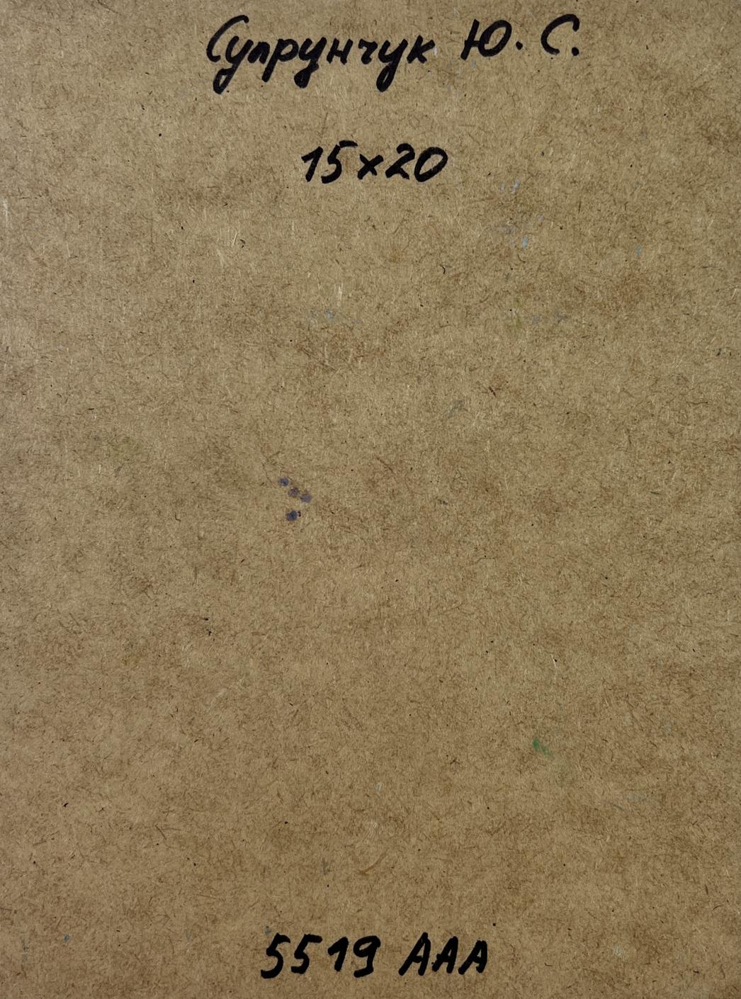 Back of Yuriy Suprunchuk oil painting City river in summer with brown textured paper Cyrillic text measurements