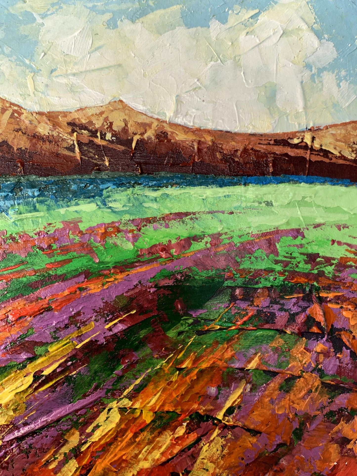 Vibrant impressionist oil painting of brown mountains by V. Zadorozhnya