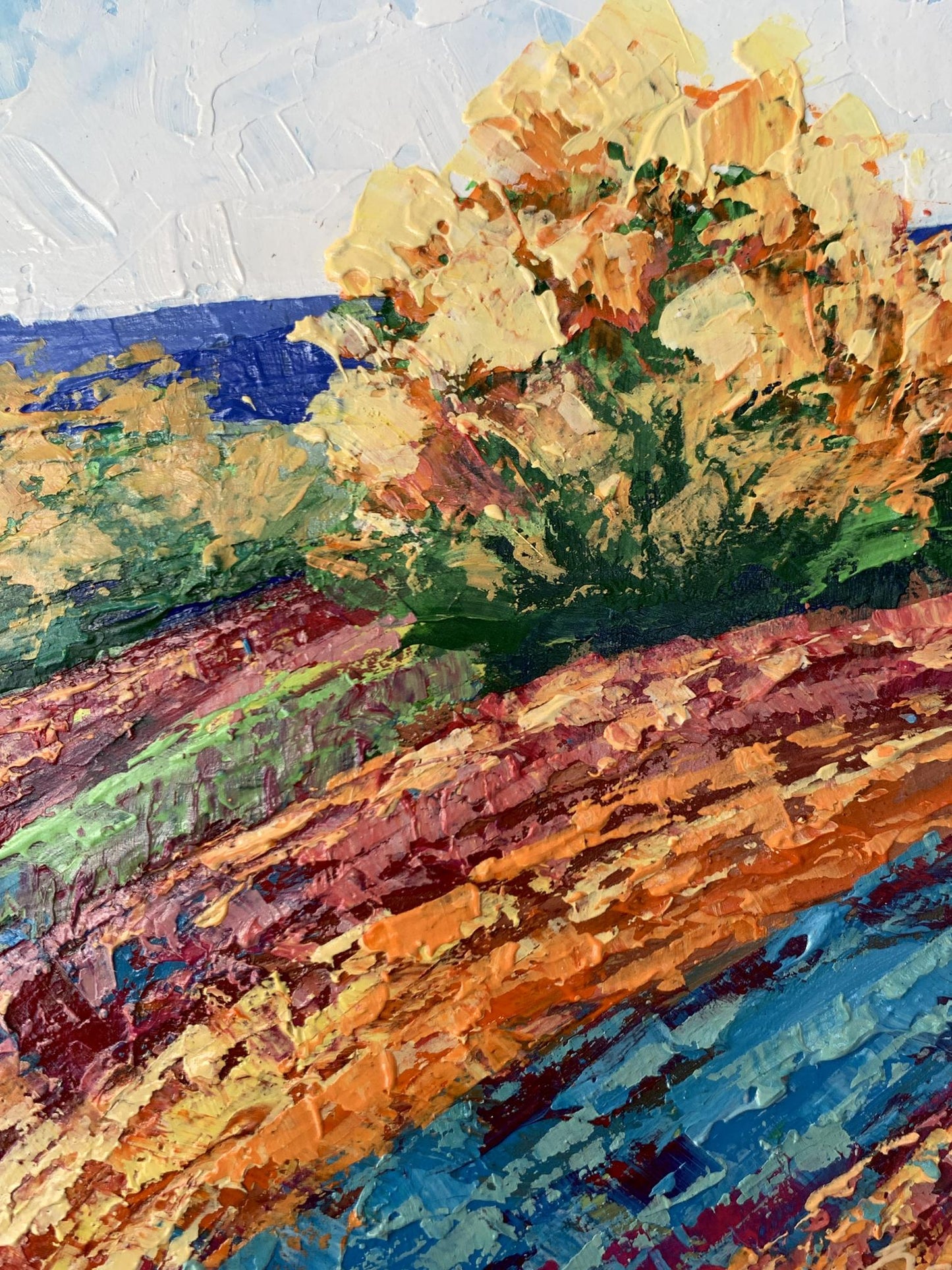 Oil painting Autumn days in the mountains by V. Zadorozhnya