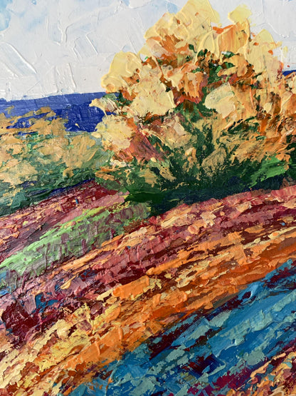 Oil painting Autumn days in the mountains by V. Zadorozhnya
