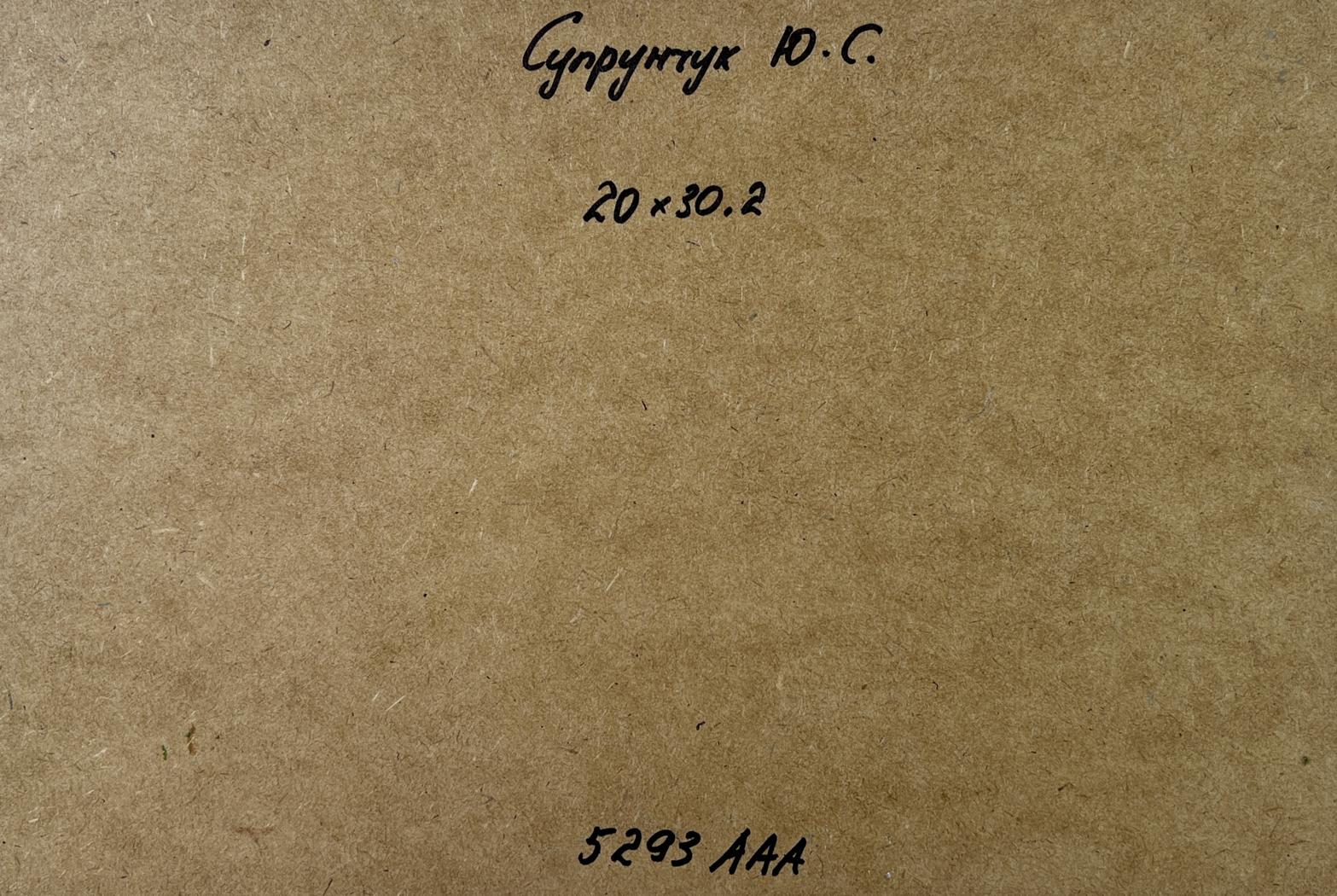 Back of Yuriy Suprunchuk oil painting A walk in the forest with Cyrillic text and measurements on brown cardboard