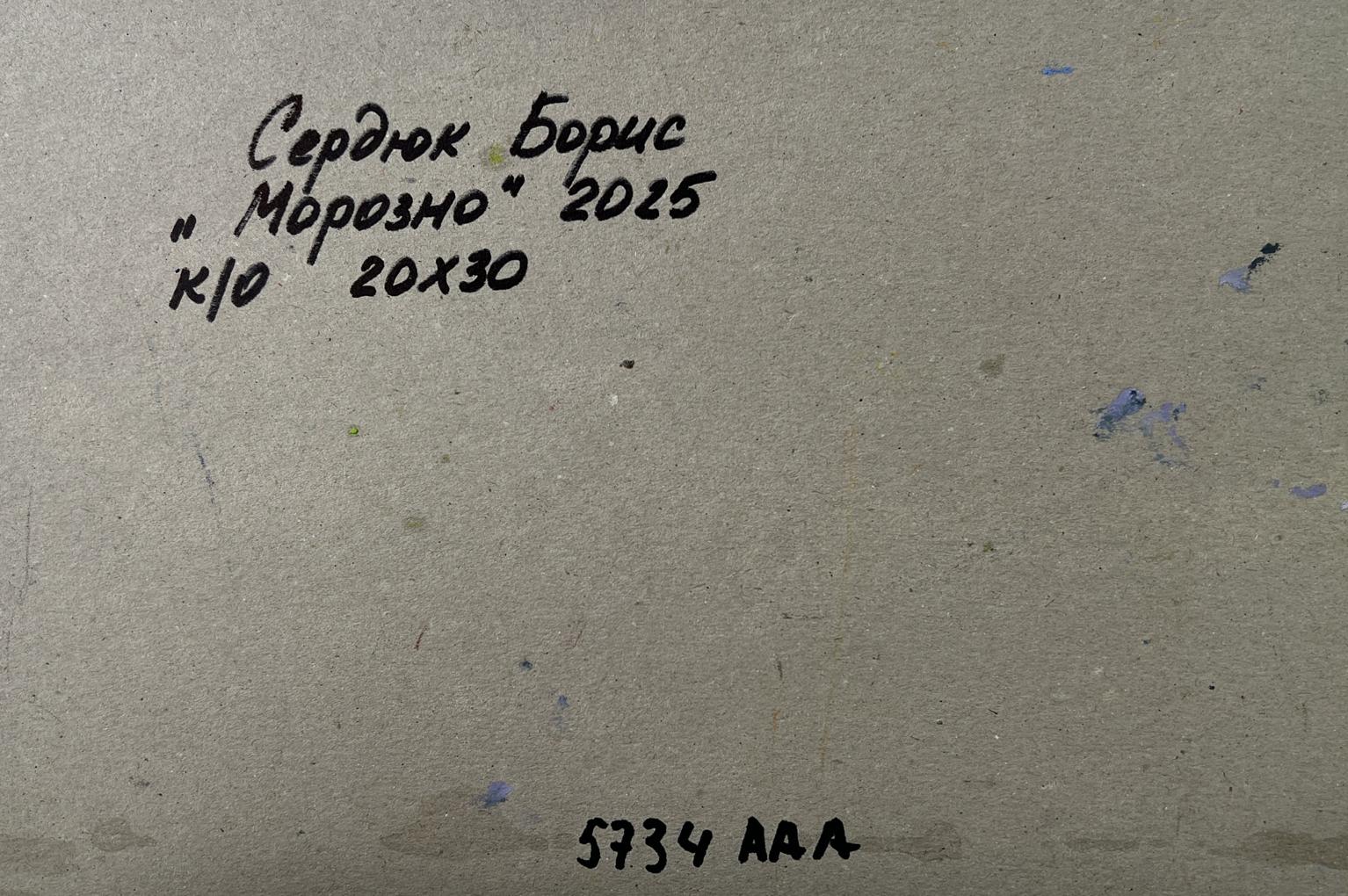 Back of Boris Serdyuk oil painting The forest was covered with snow: gray textured paper with handwritten Cyrillic text and stamped number