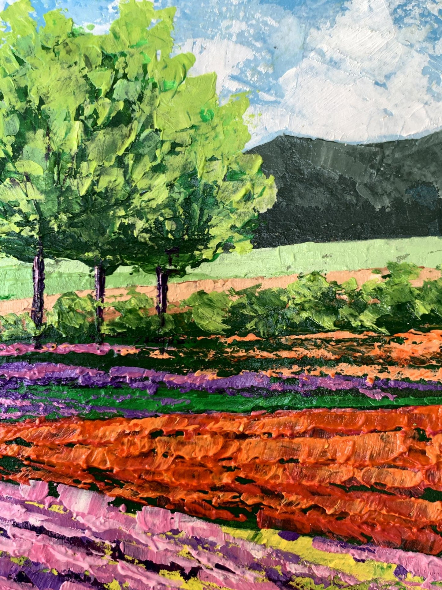 Vibrant impressionist oil painting of flower fields near mountains by V. Zadorozhnya