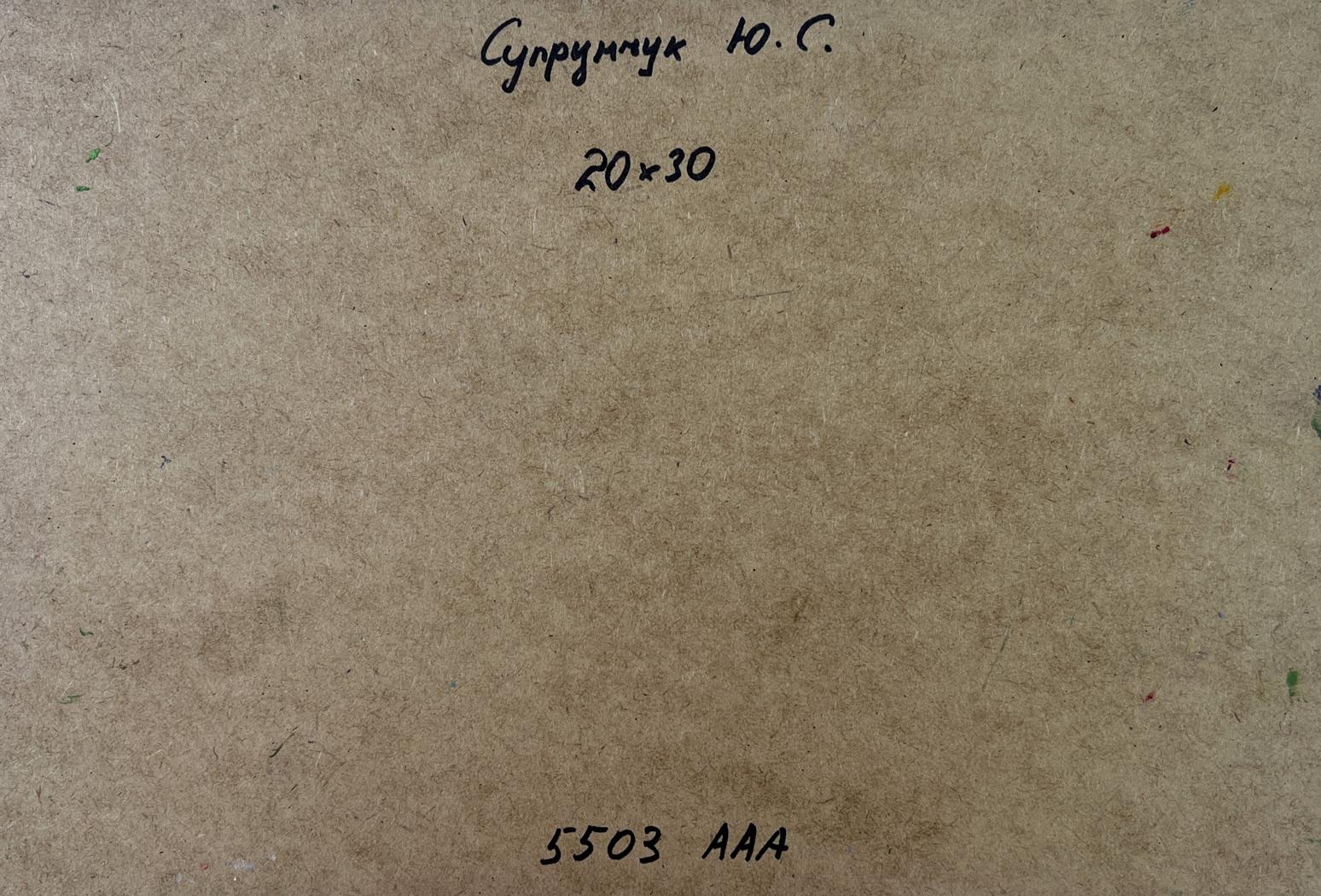 Back of Yuriy Suprunchuk oil painting Lonely house on the green of the hill with brown cardboard Cyrillic text