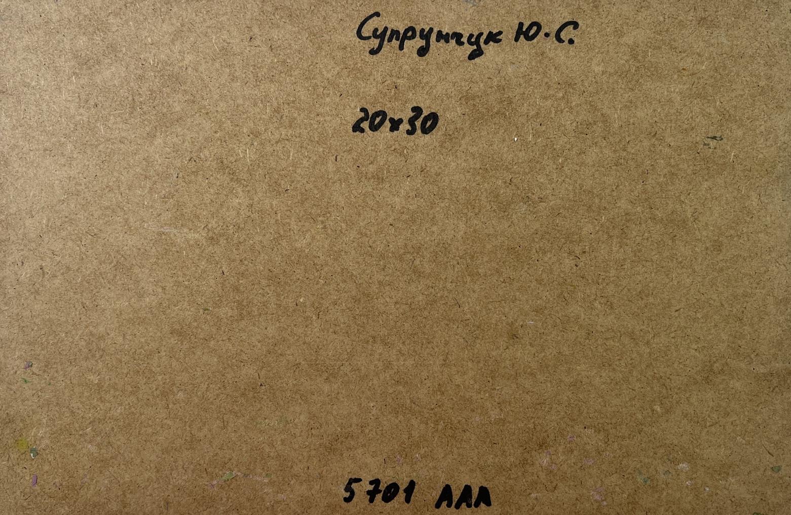 Back of Yuriy Suprunchuk oil painting Country geese with handwritten Cyrillic text and measurements on brown cardboard