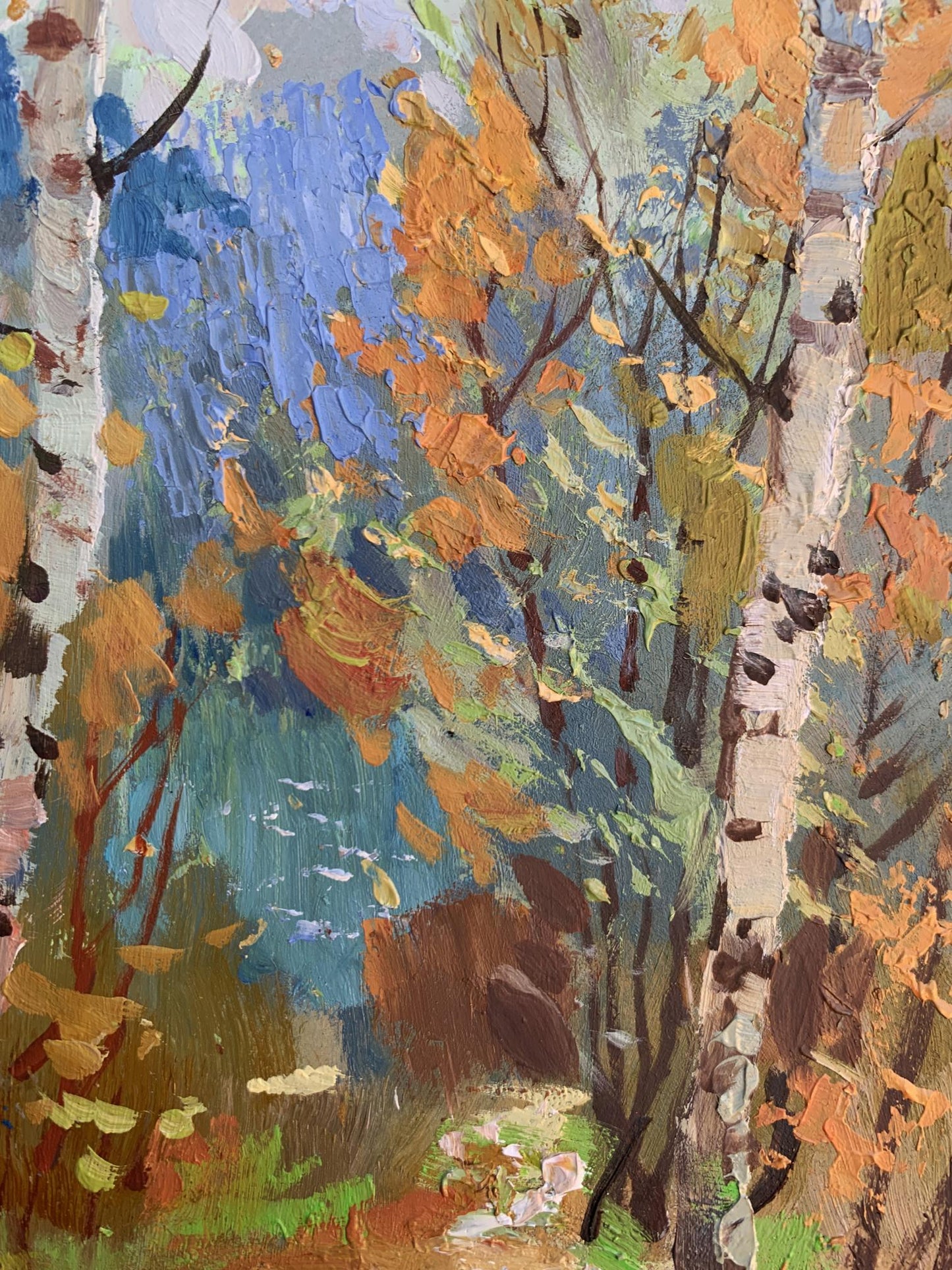 Vibrant impressionist oil painting Autumn birch grove by Yuriy Suprunchuk