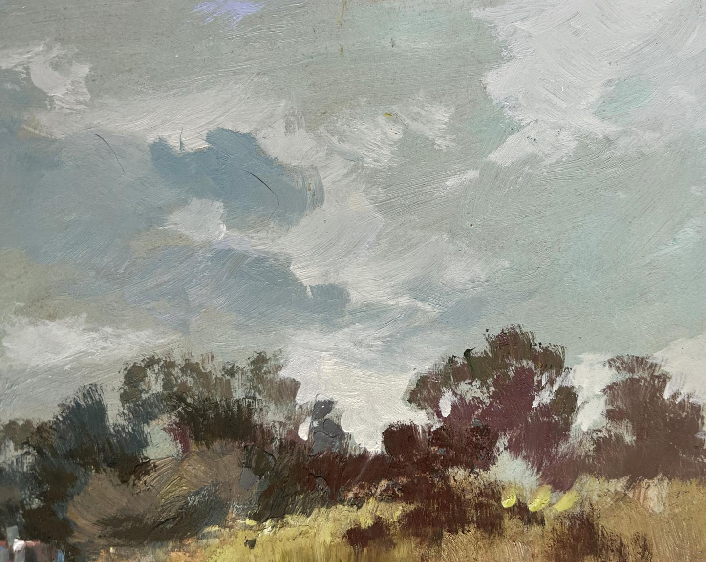 Oil painting of summer flower meadows by Yuriy Suprunchuk