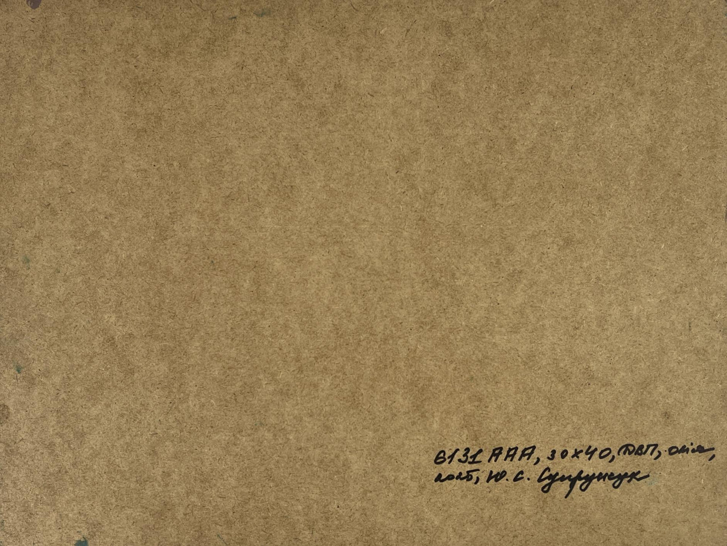 Back of Yuriy Suprunchuk Seagulls oil painting on brown textured paper