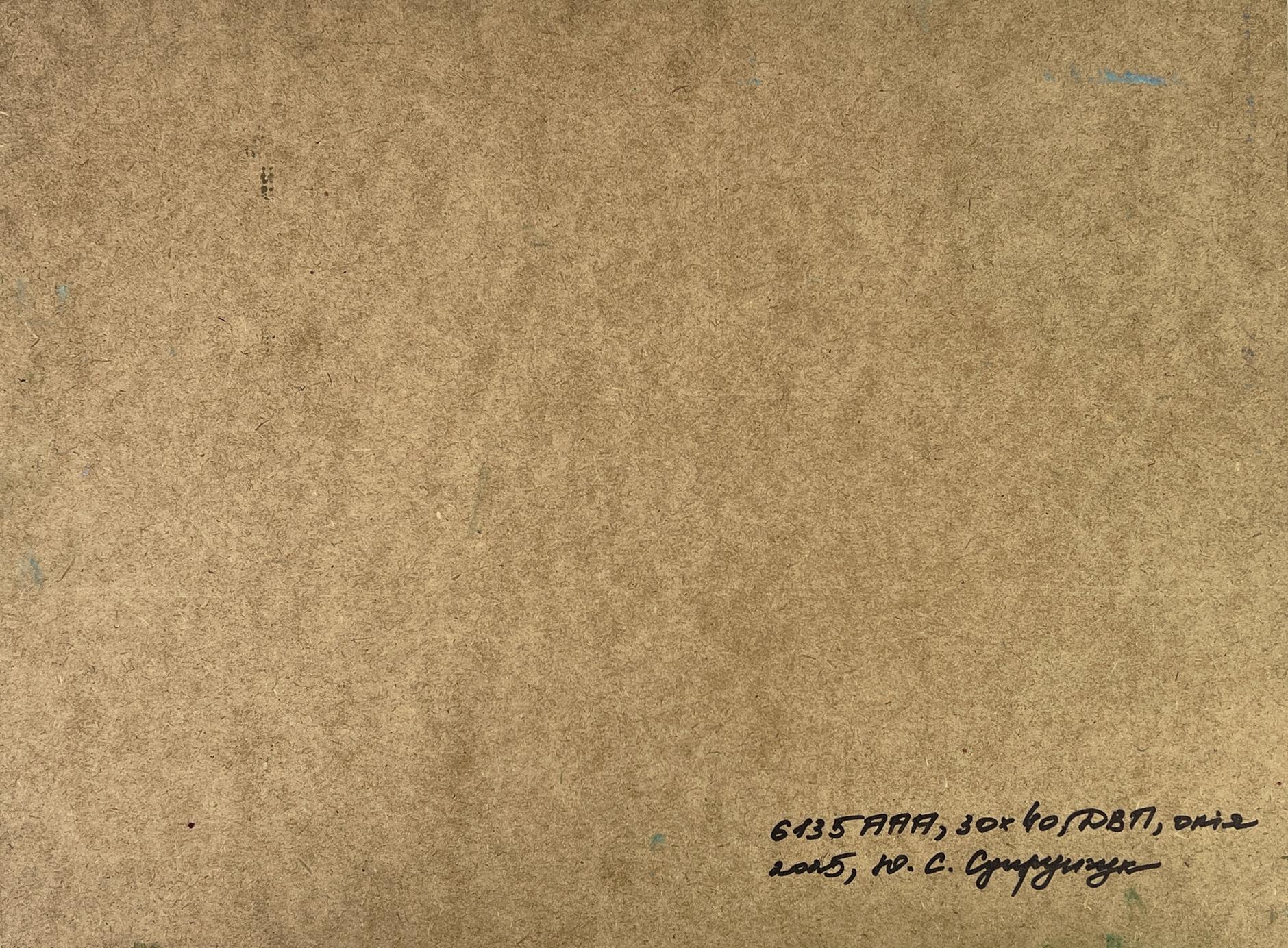 Back of Yuriy Suprunchuk oil painting House on the Mountain with brown textured paper inscription