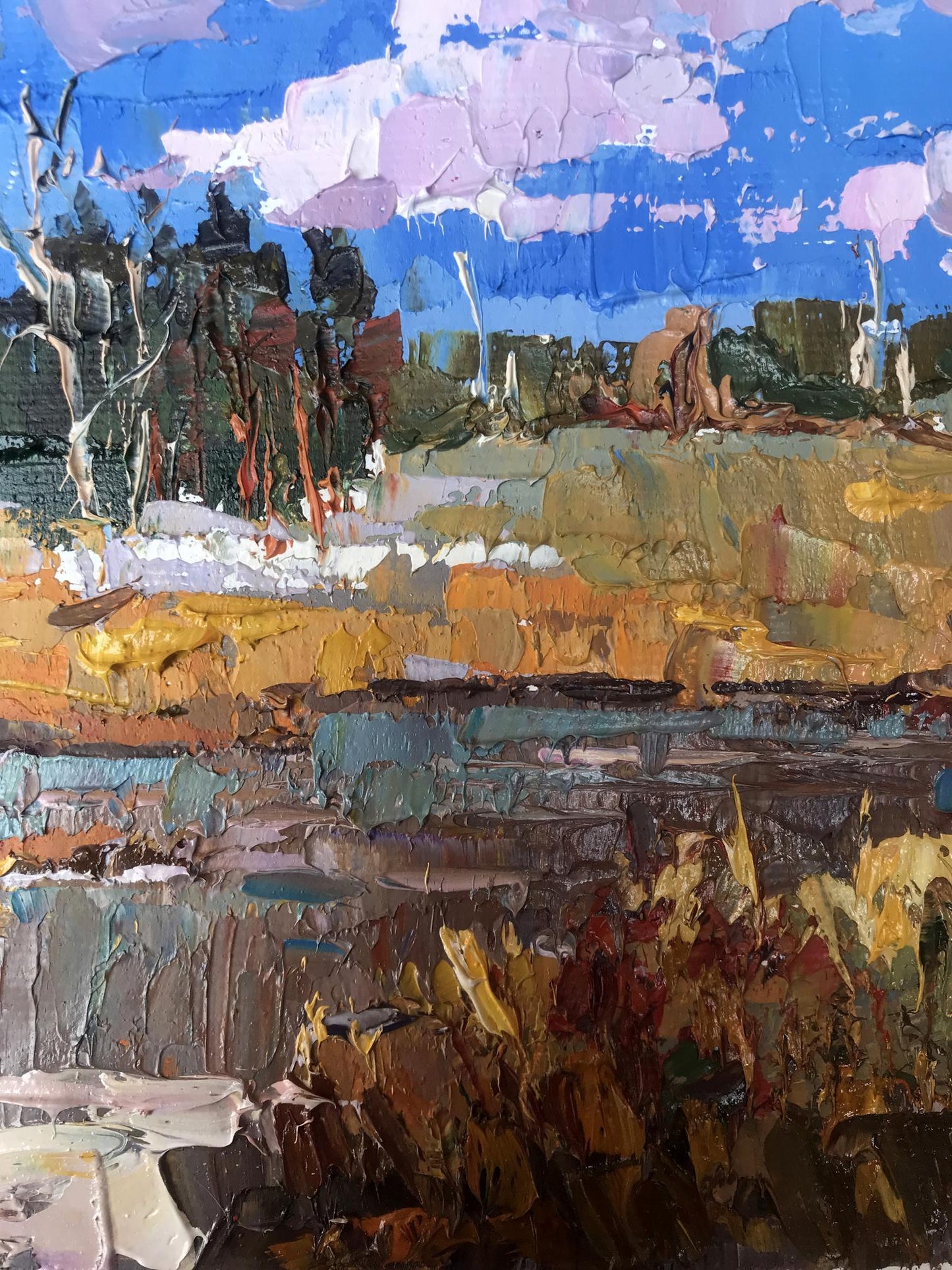 Nature Landscape 
