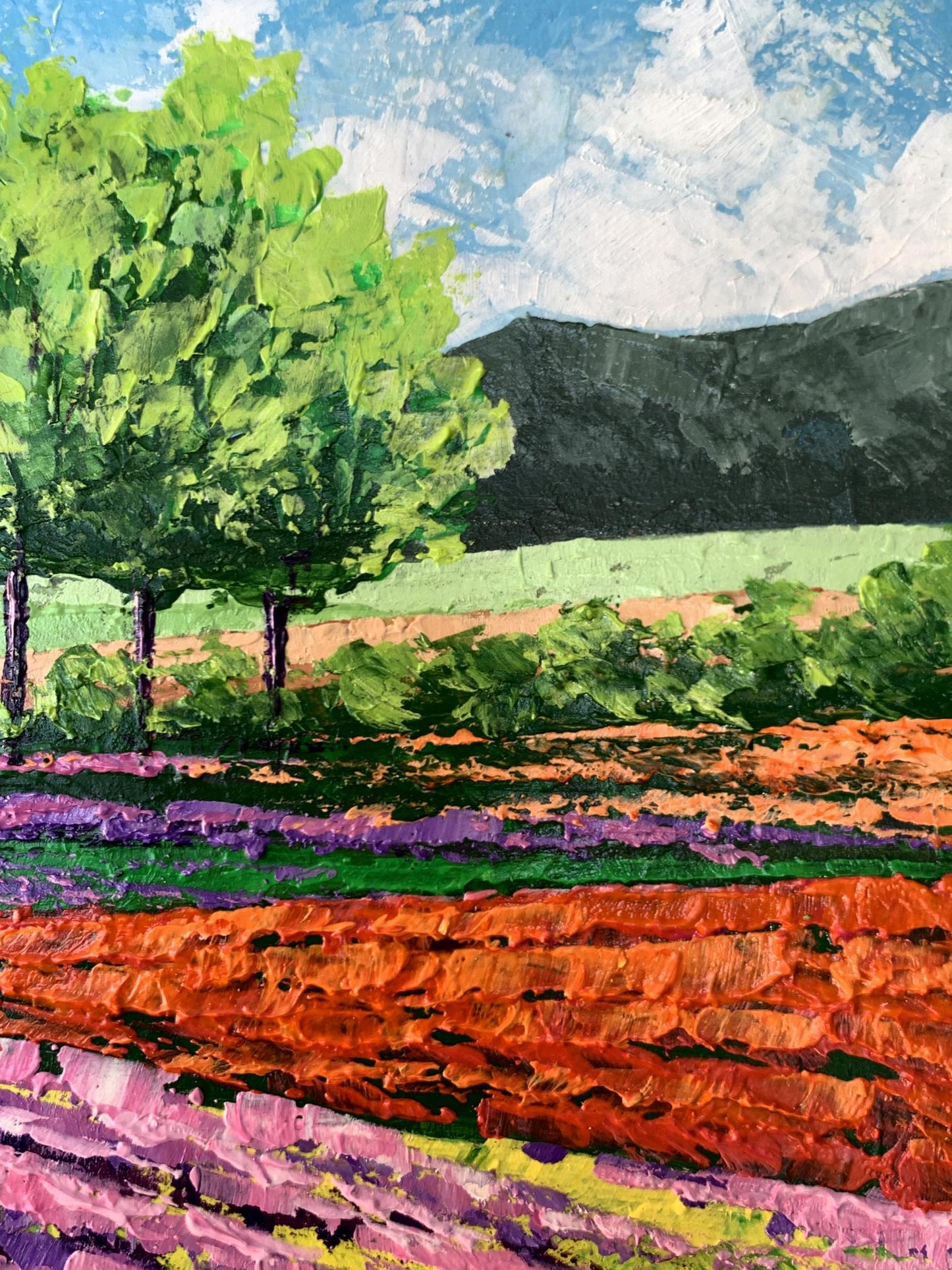 Vibrant impressionist oil painting of flower fields near mountains by V. Zadorozhnya