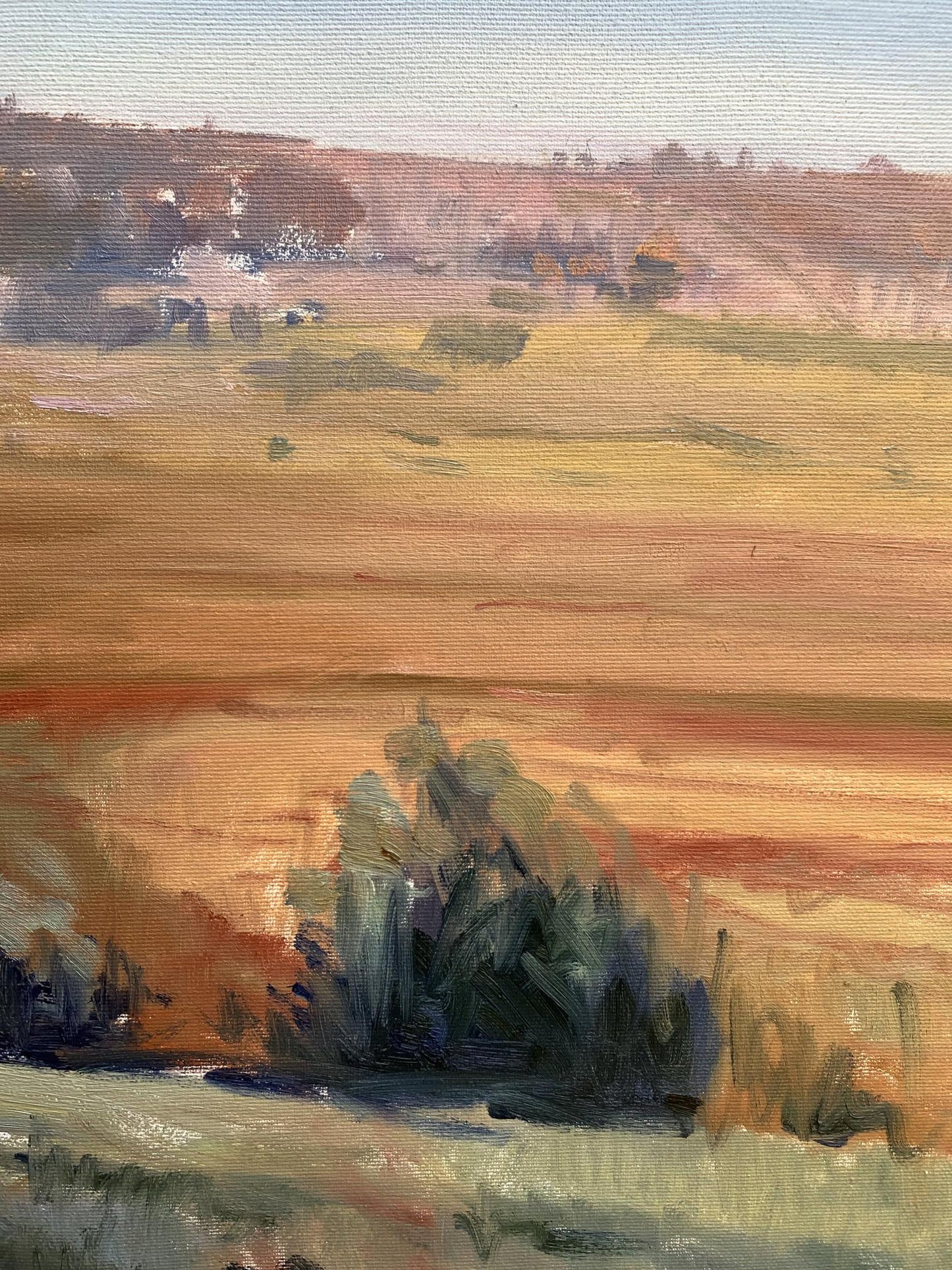 Oil painting Hot day by Tatyana Derdey: serene landscape with orange skies, tree silhouettes