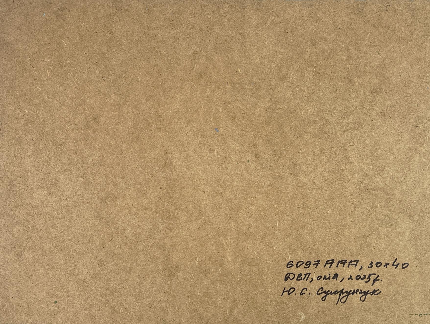 Back of Yuriy Suprunchuk oil painting Sea cloudy coast with brown textured paper and handwritten inscription