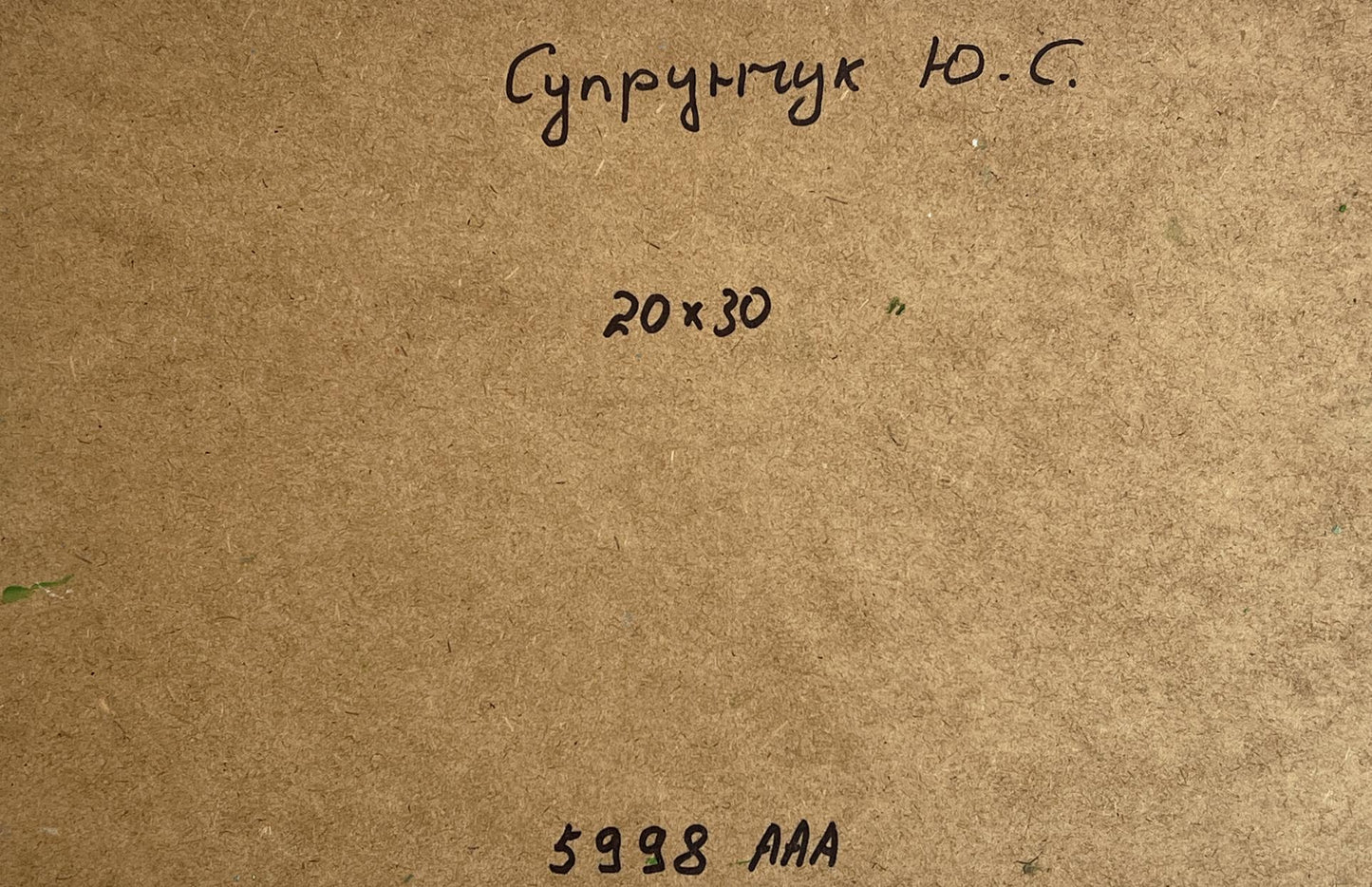 Back of Yuriy Suprunchuk oil painting Blooming trees in garden with handwritten супрунгук ю
