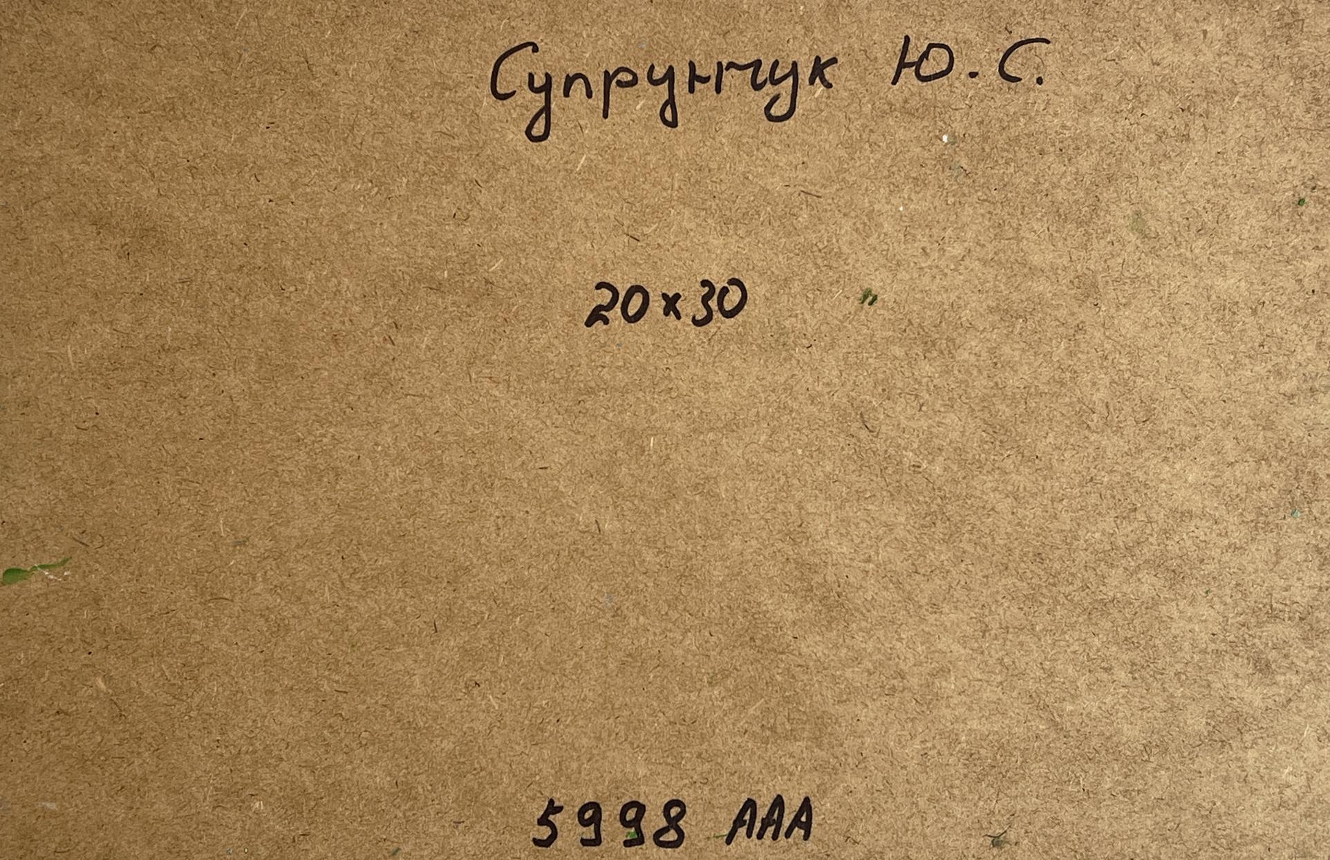 Back of Yuriy Suprunchuk oil painting Blooming trees in garden with handwritten супрунгук ю