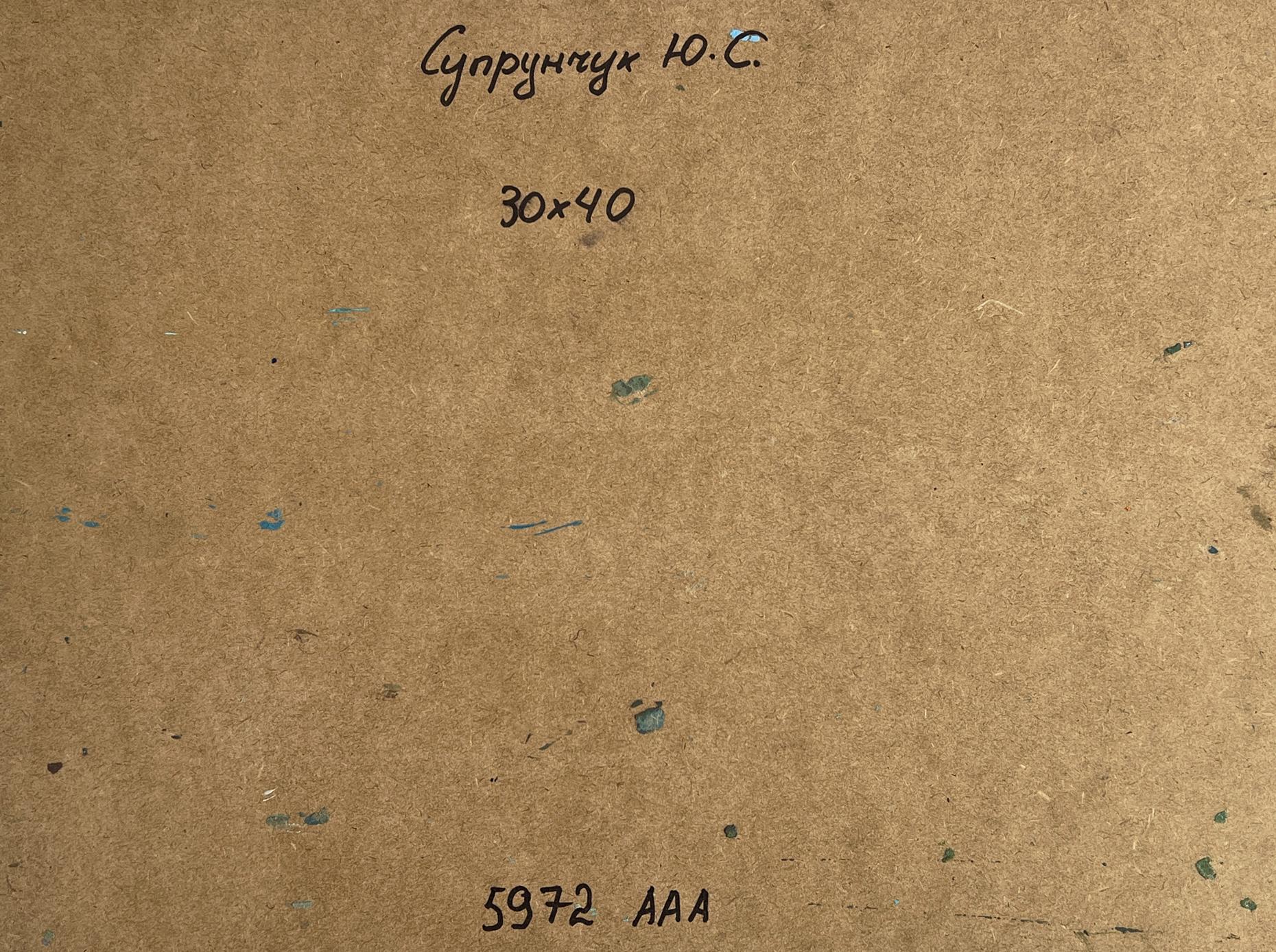Back of Yuriy Suprunchuk oil painting Rural grey river with Cyrillic text on brown cardboard