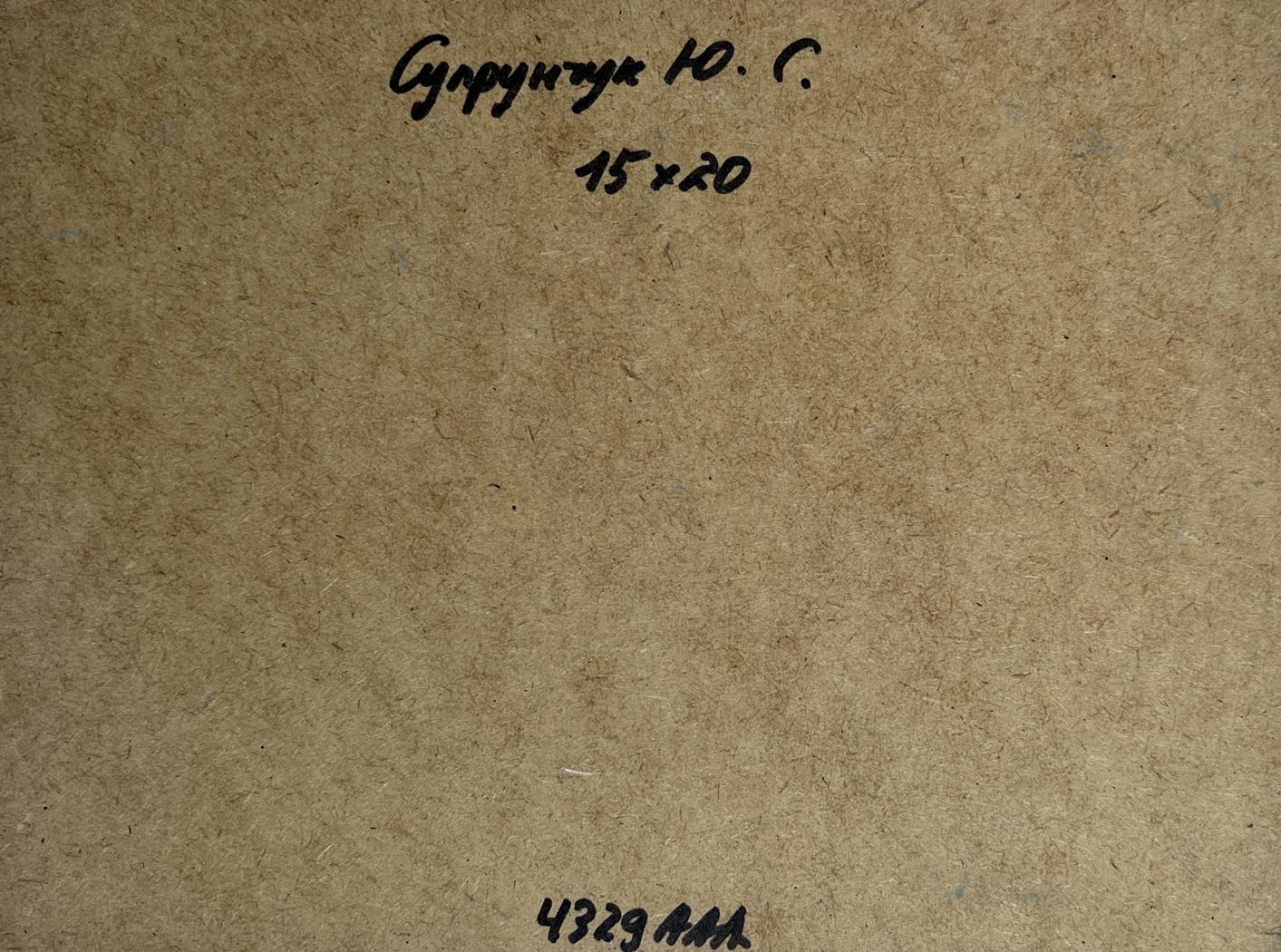 Back of Yuriy Suprunchuk oil painting River in green embrace with Cyrillic text and measurements on brown cardboard