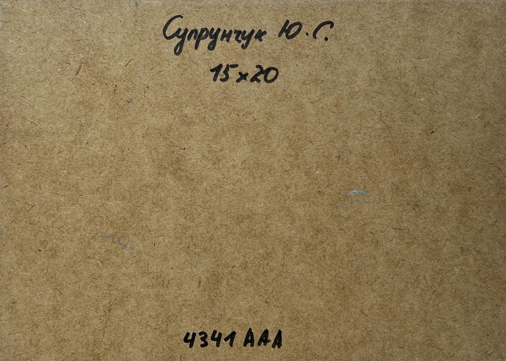 Back of Yuriy Suprunchuk Oil painting The Winding River with Cyrillic text