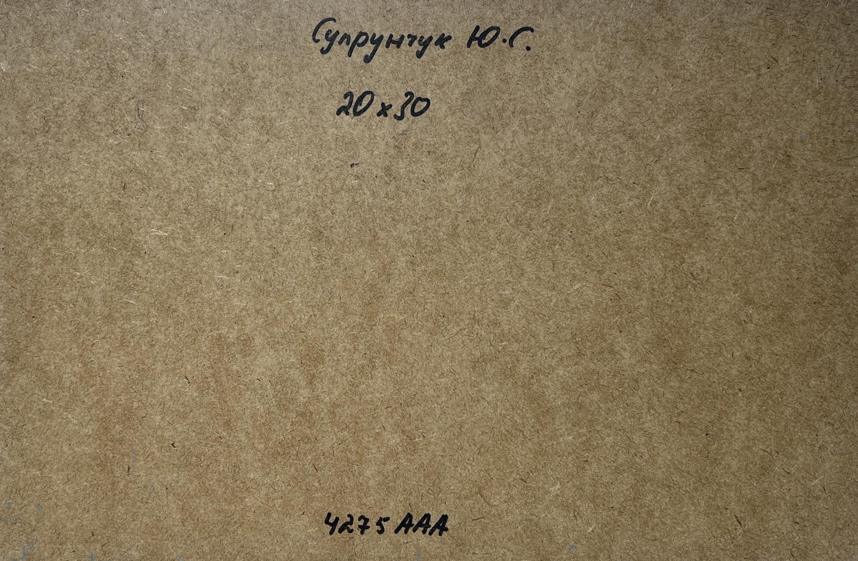 Back of Yuriy Suprunchuk Summer peace on the river oil painting with Cyrillic text and measurements on brown cardboard