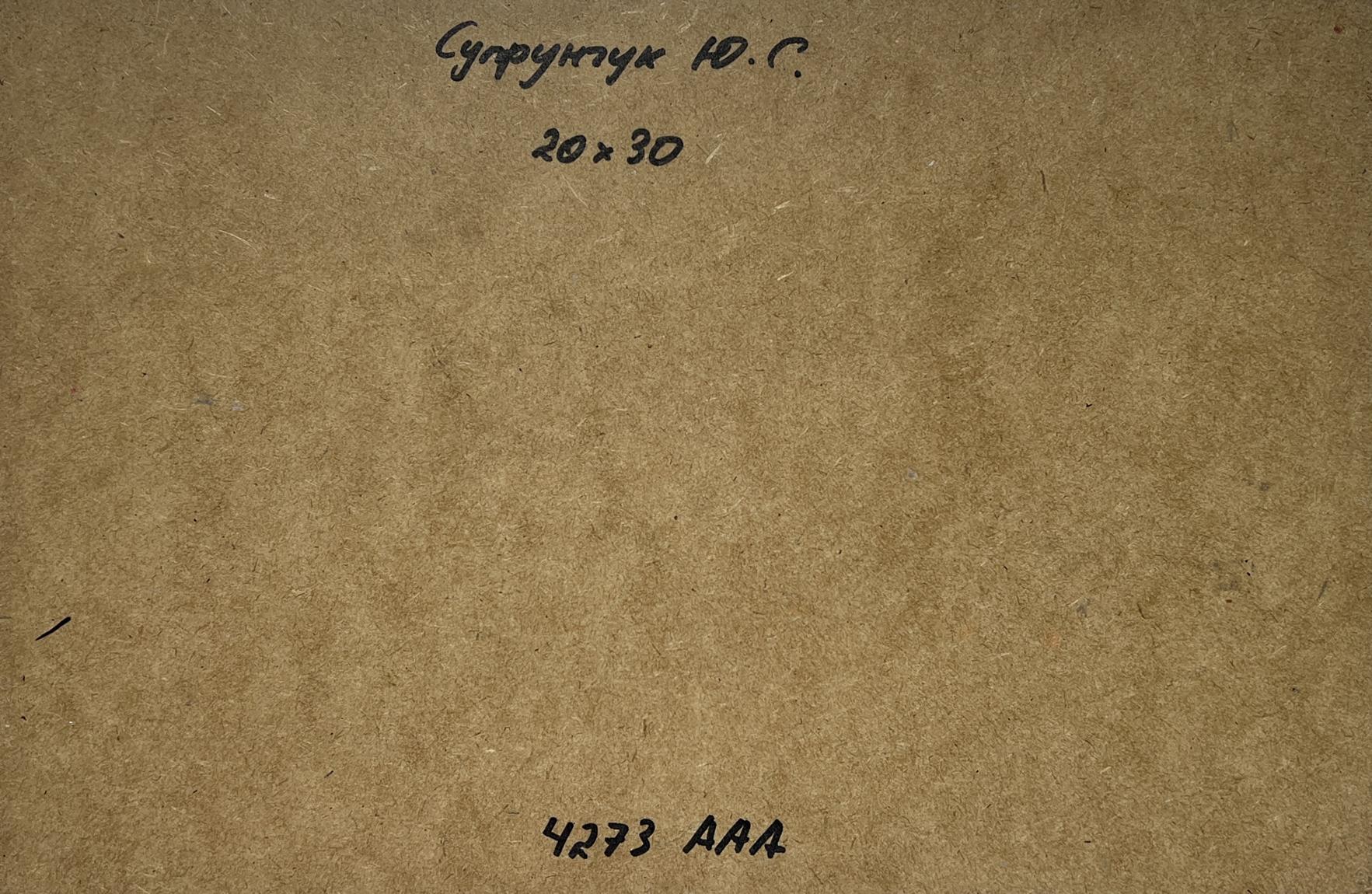 Back of Yuriy Suprunchuk Summer journey along the river oil painting with brown textured paper Cyrillic text and numbers