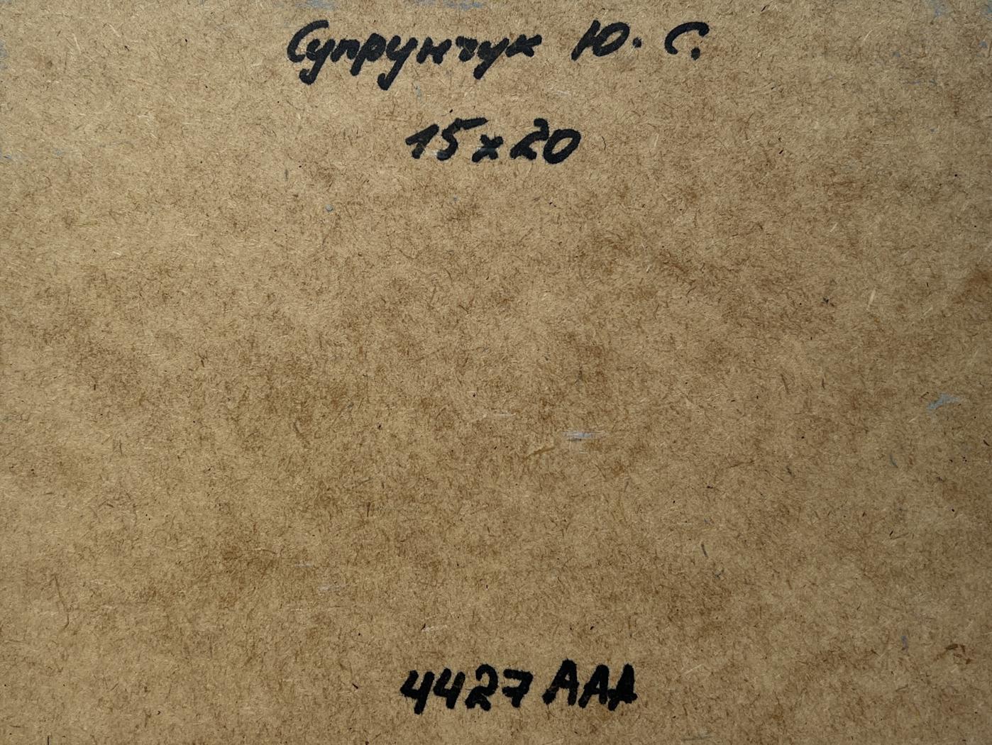 Back of Yuriy Suprunchuk oil painting House in the autumn forest with brown cardboard Cyrillic text and measurements