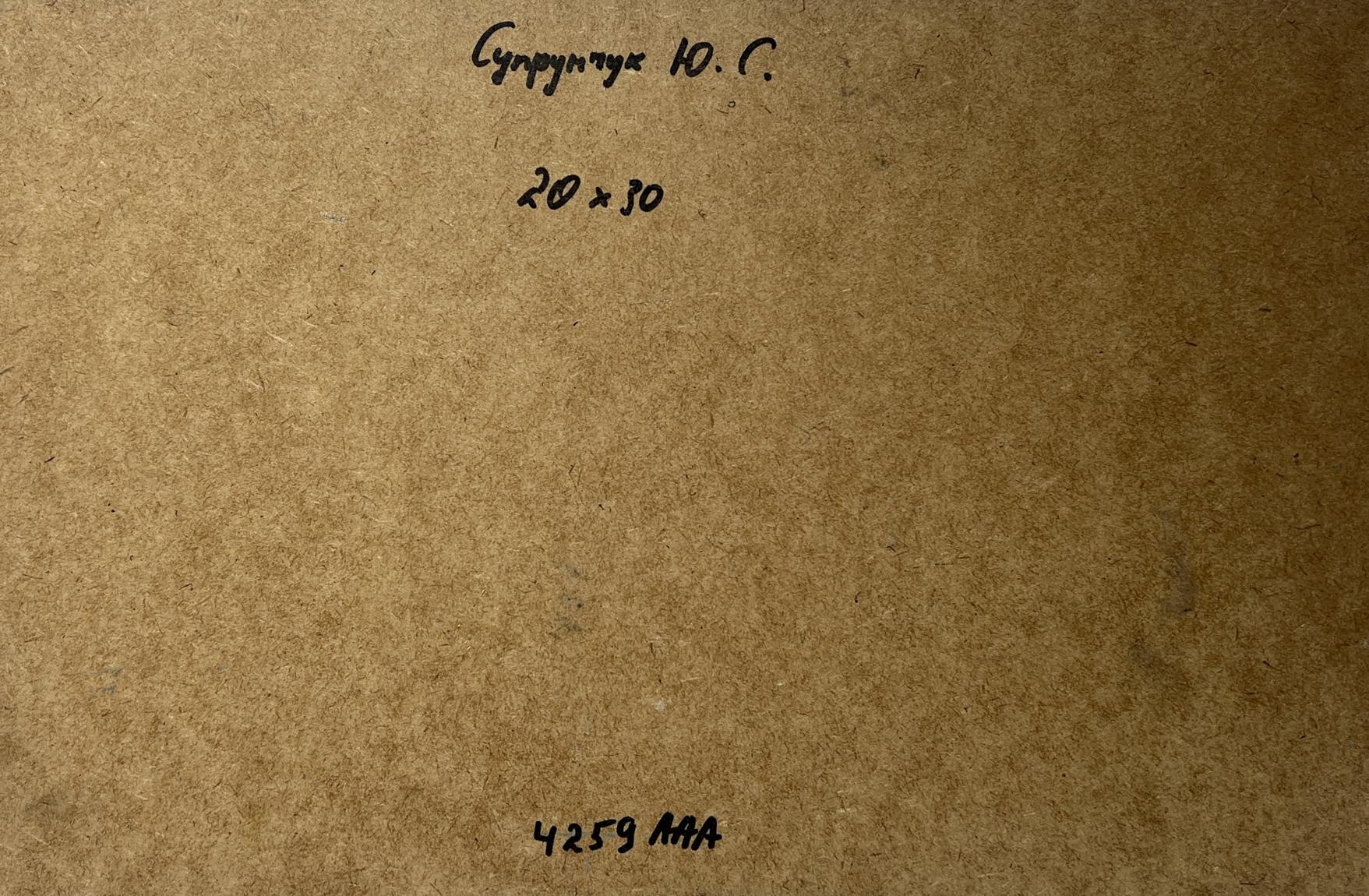Back of Yuriy Suprunchuk Oil painting Winter night comfort with brown cardboard Cyrillic text and measurements