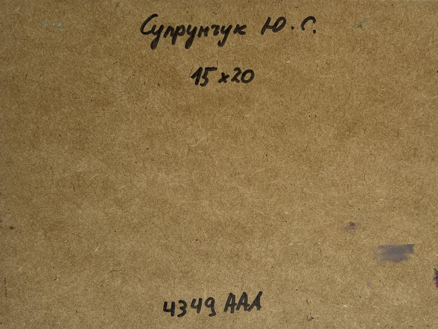 Back of Yuriy Suprunchuk oil painting Golden autumn in the park with handwritten Cyrillic text and measurements on brown cardboard
