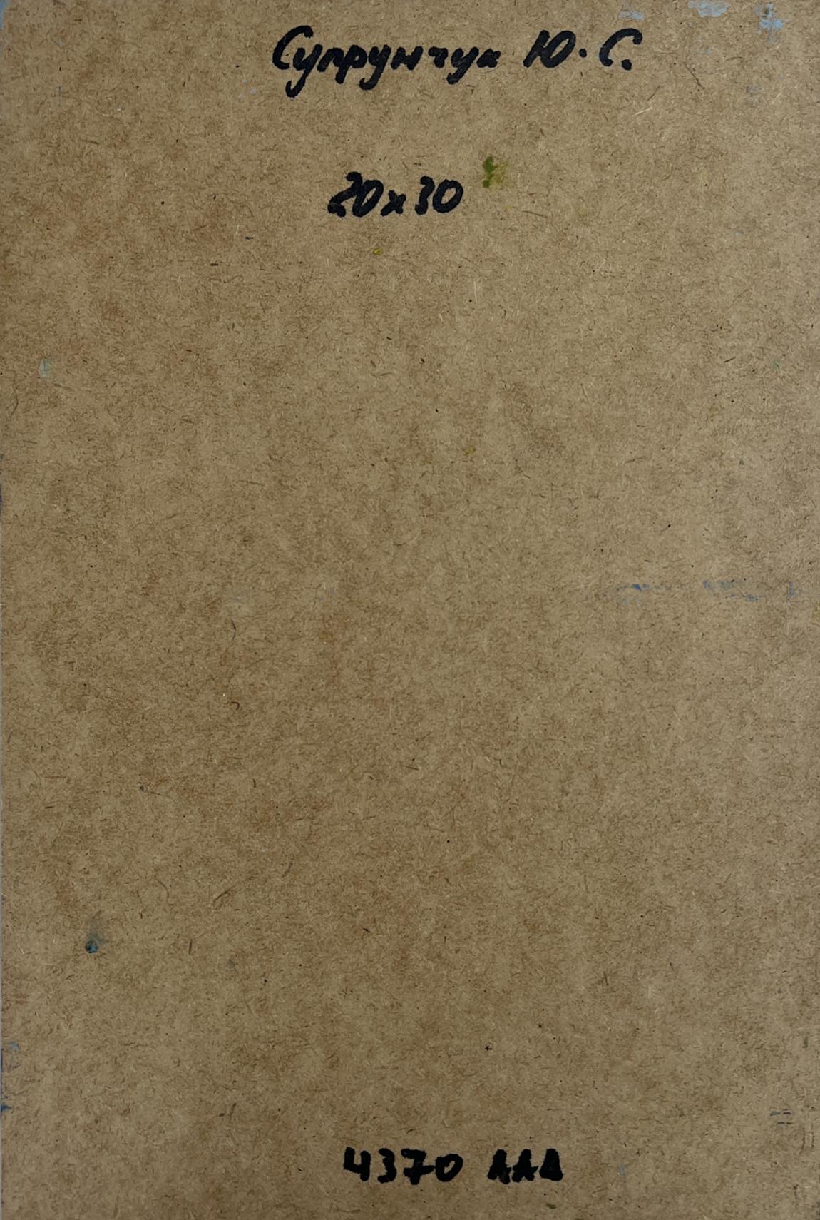 Back of Yuriy Suprunchuk oil painting Sunny day at sea with Cyrillic text and measurements on brown cardboard